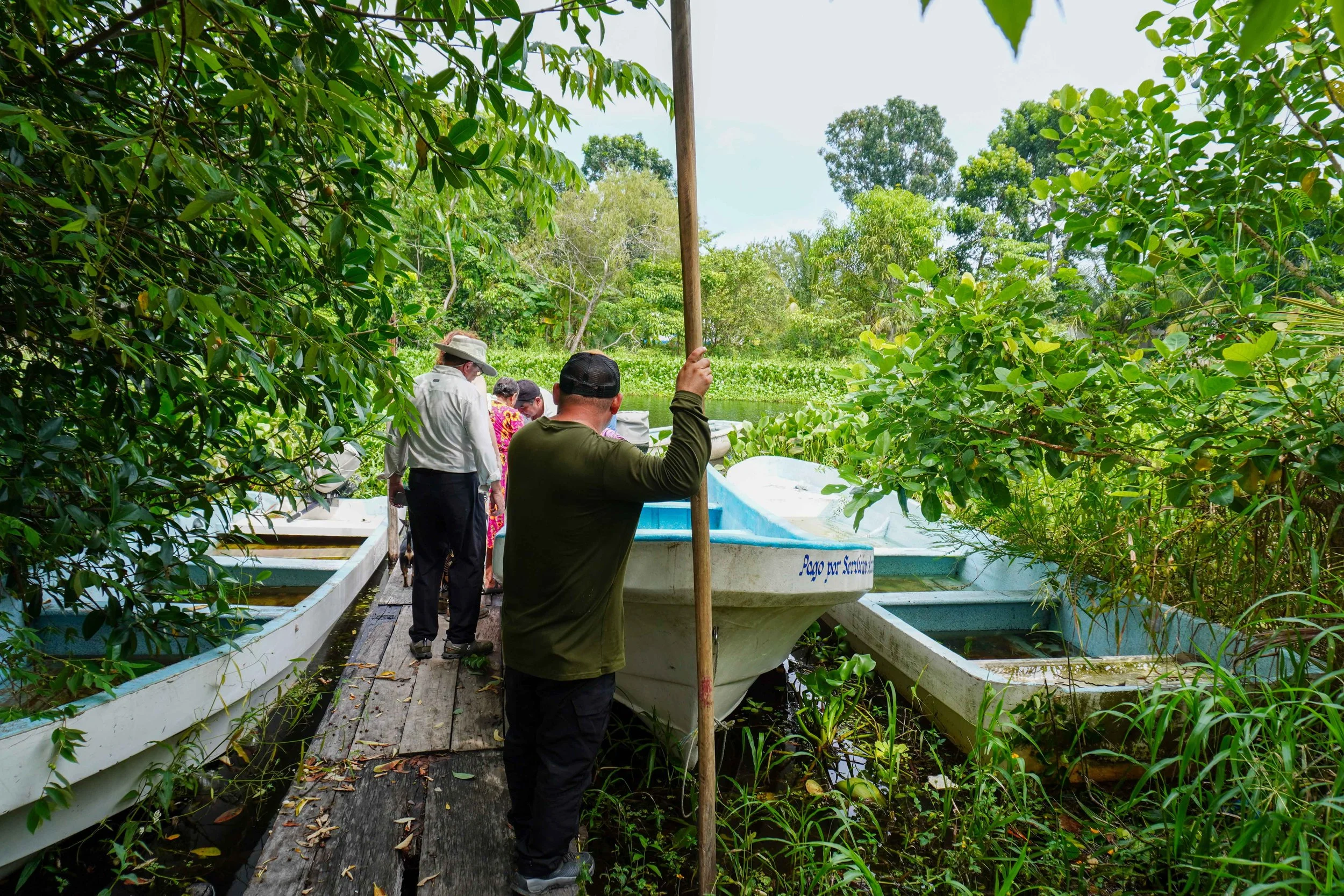 Línea base de biodiversidad en Úrsulo Galván
