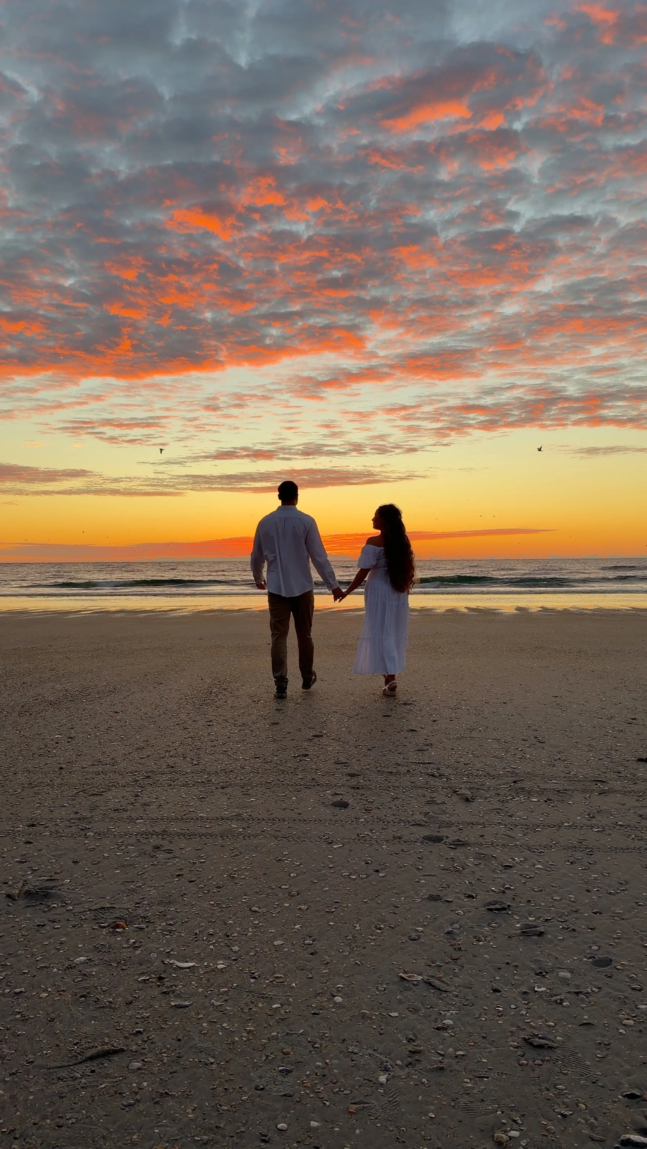 engagement and save the date session for a couple getting married at canterbury stables by wilmington content co - content creator in north carolina