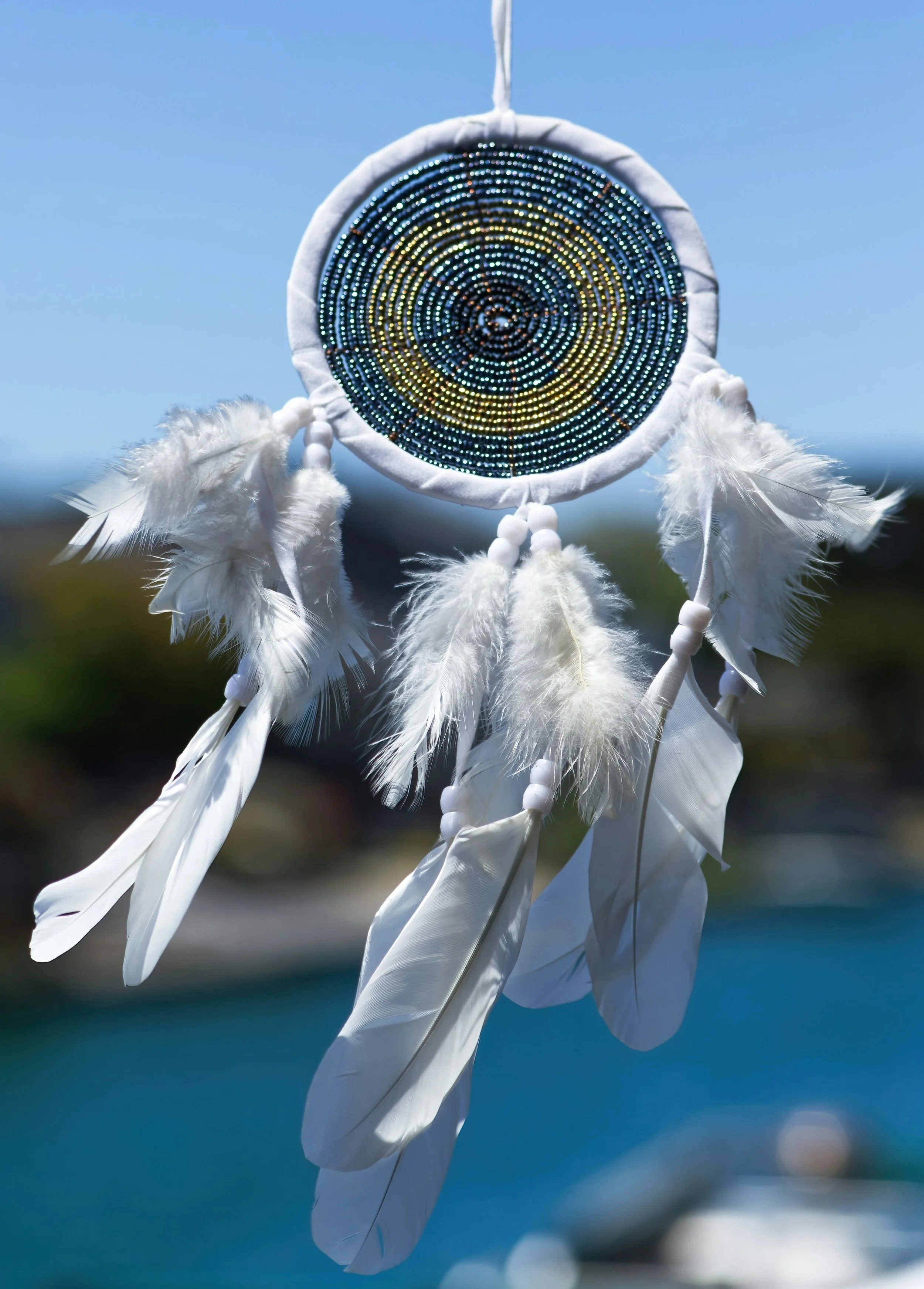 What Are Your Dreams Telling You?