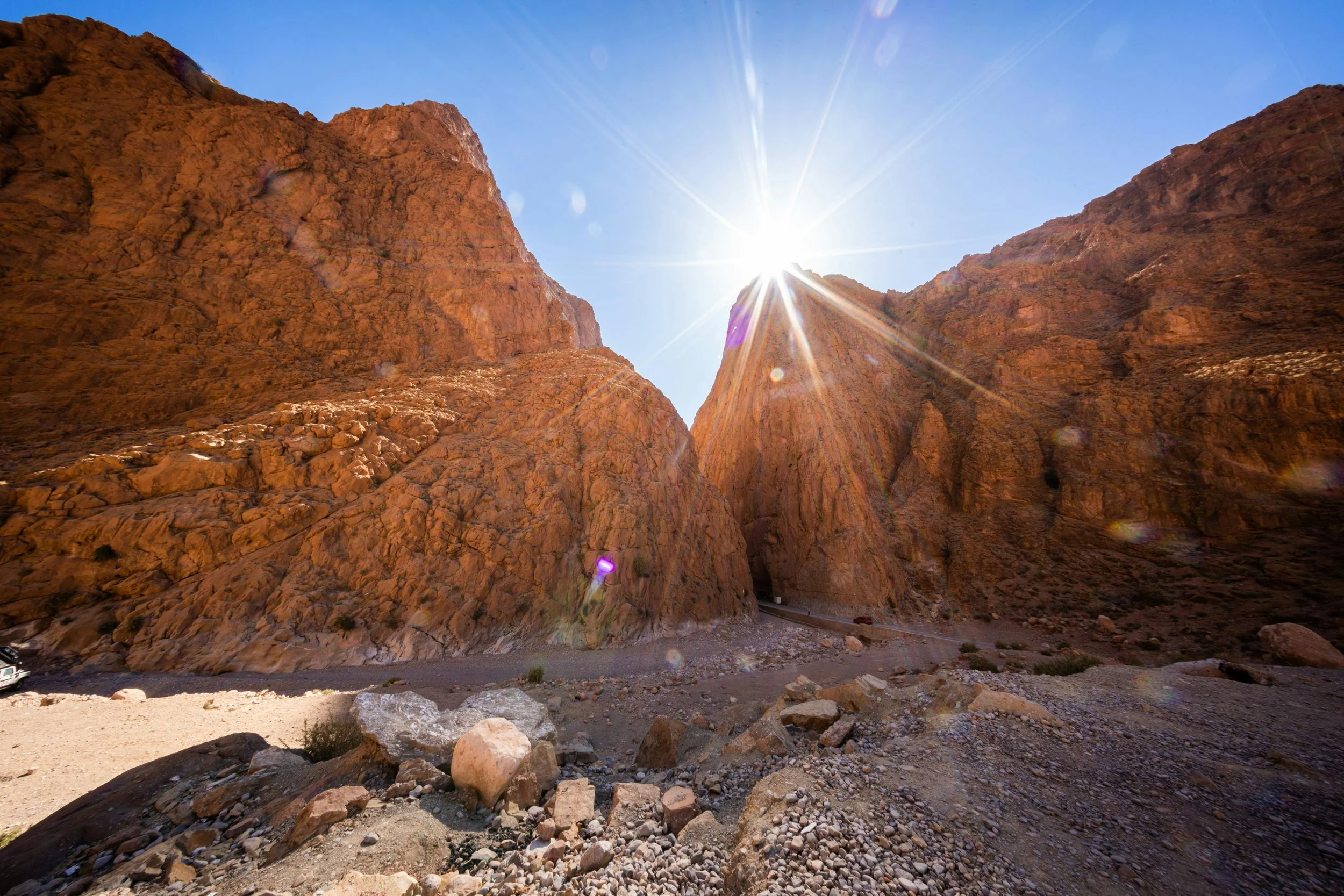 Rewild Yourself (October) 