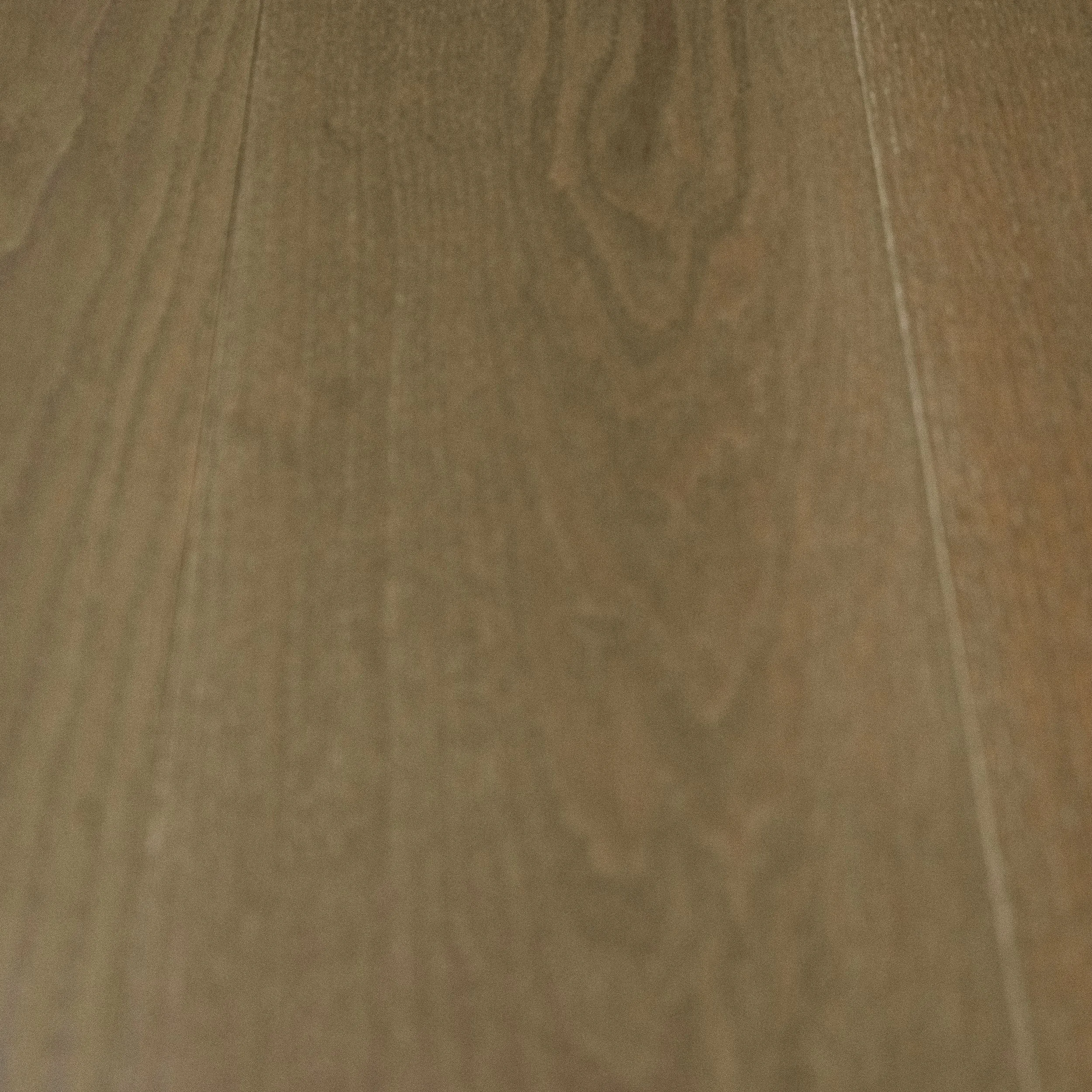 Carmel Close Up.jpg