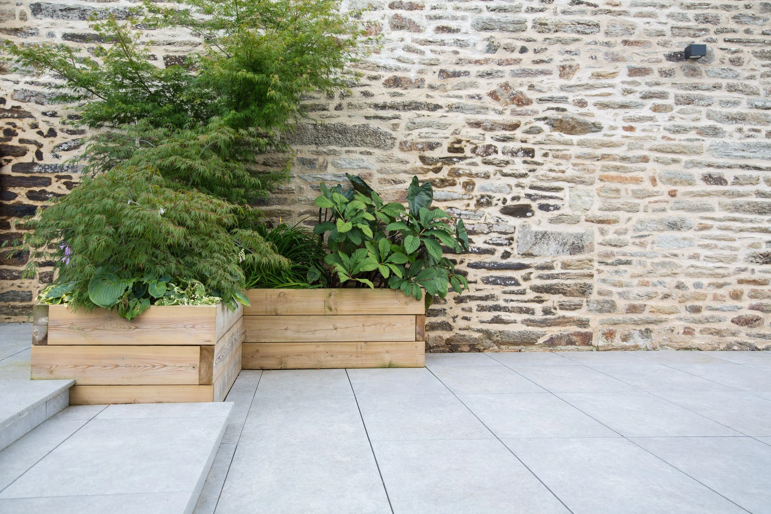 Granite Pavers with Plant.jpeg