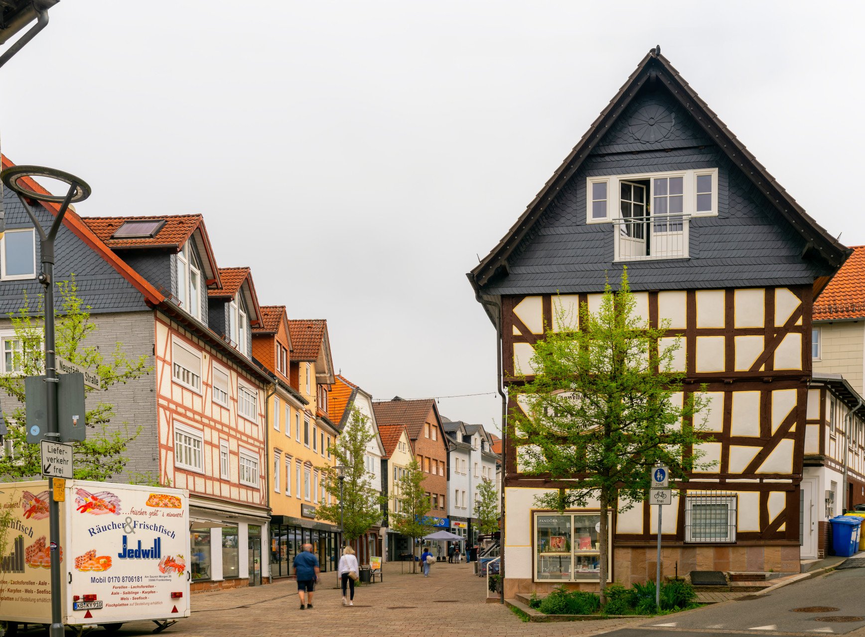 p15.jpg