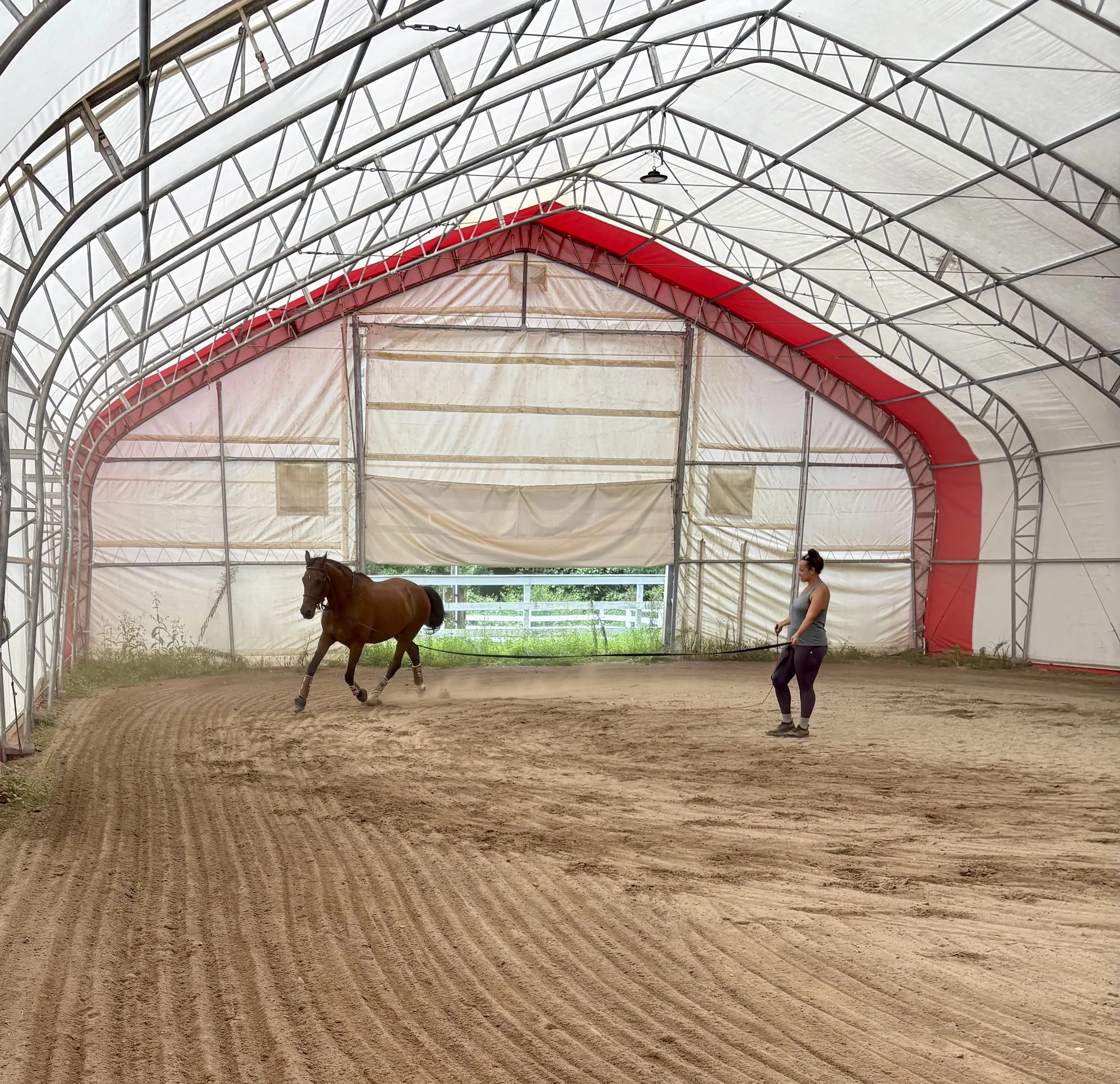 A woman is training a horse in an indoor riding arena.