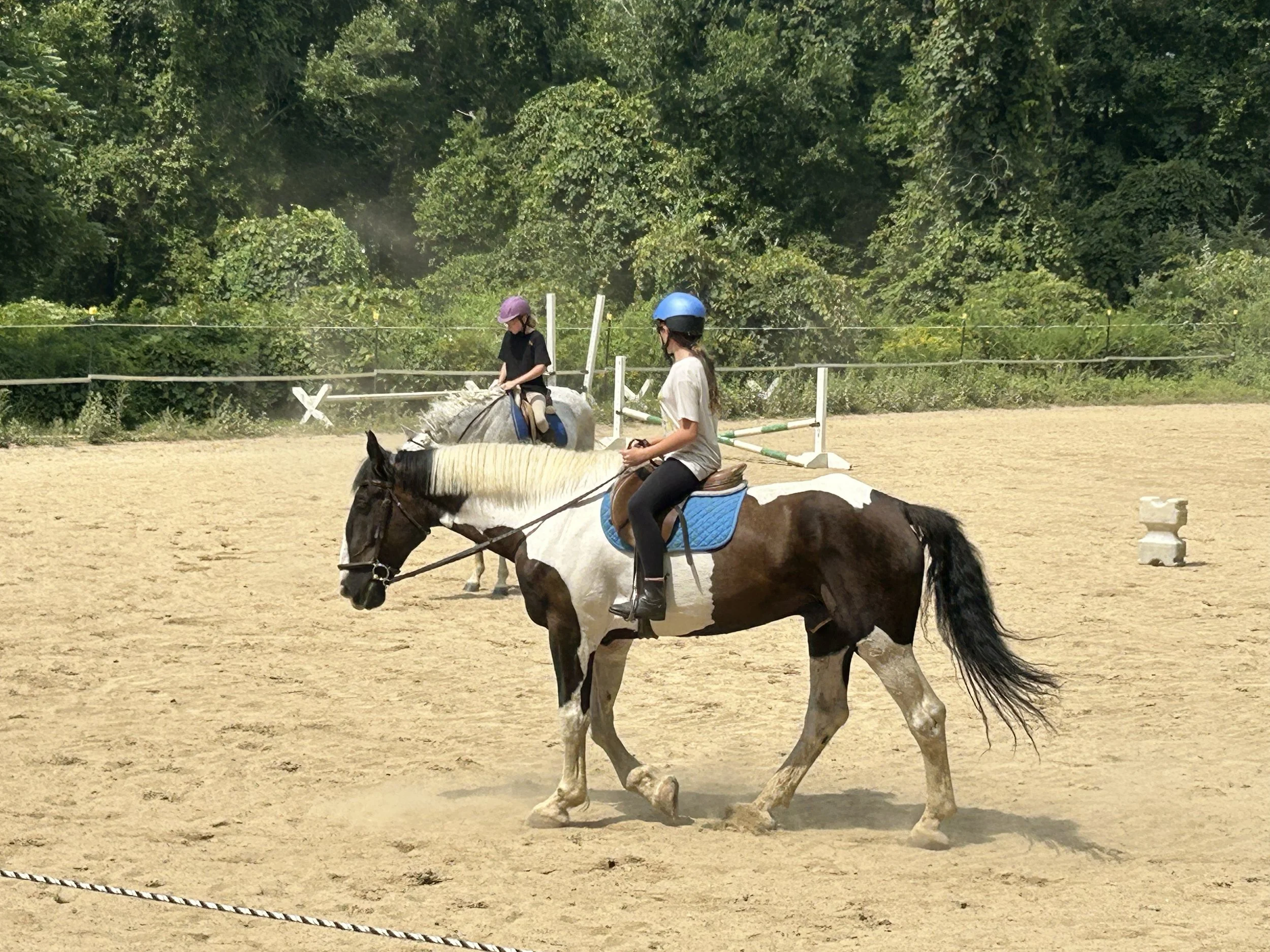 Two young girls riding horses on a sandy fenced riding arena during daytime, with lush green trees in the background.