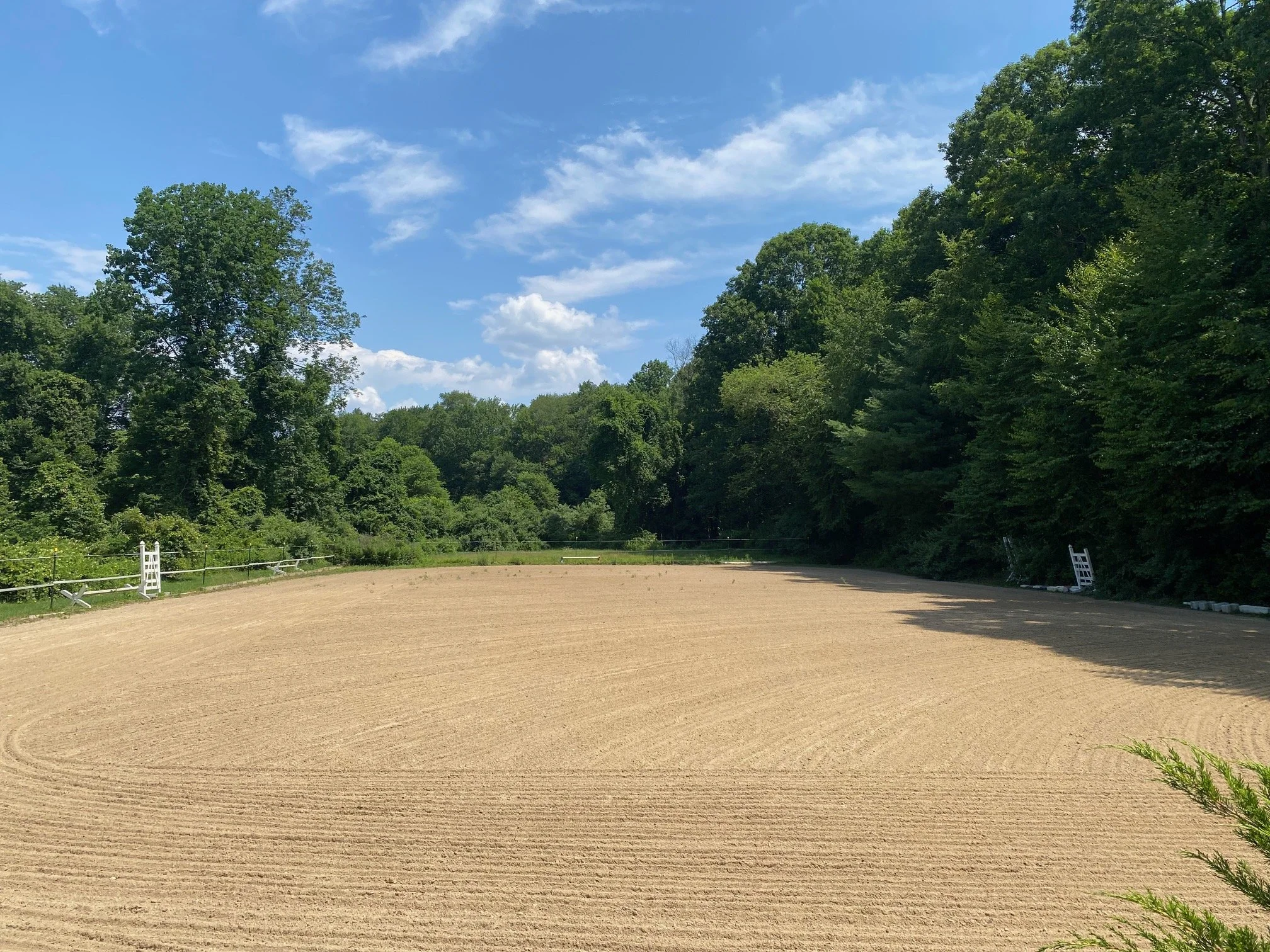 A cleared sandy outdoor riding arena surrounded by green trees under a partly cloudy blue sky.