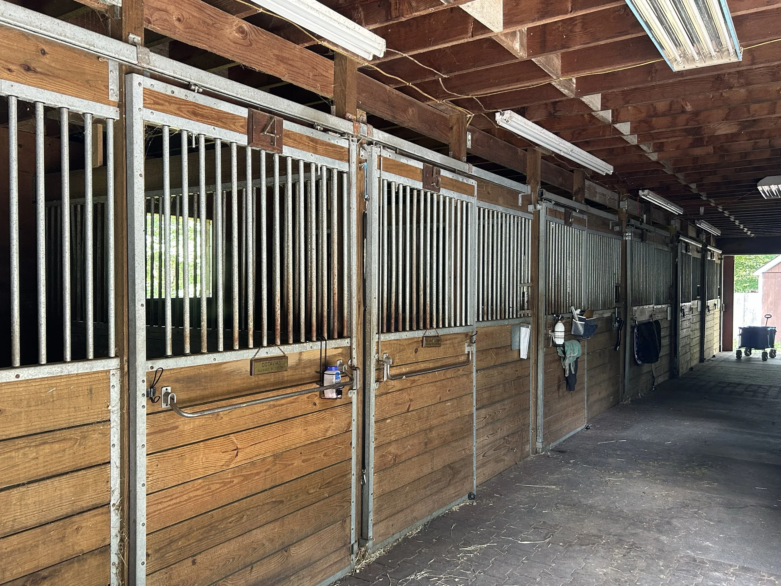 Interior of a horse stable (the upper barn) with wooden and metal stalls, some equipment hanging on the wall, and fluorescent lights on the ceiling.