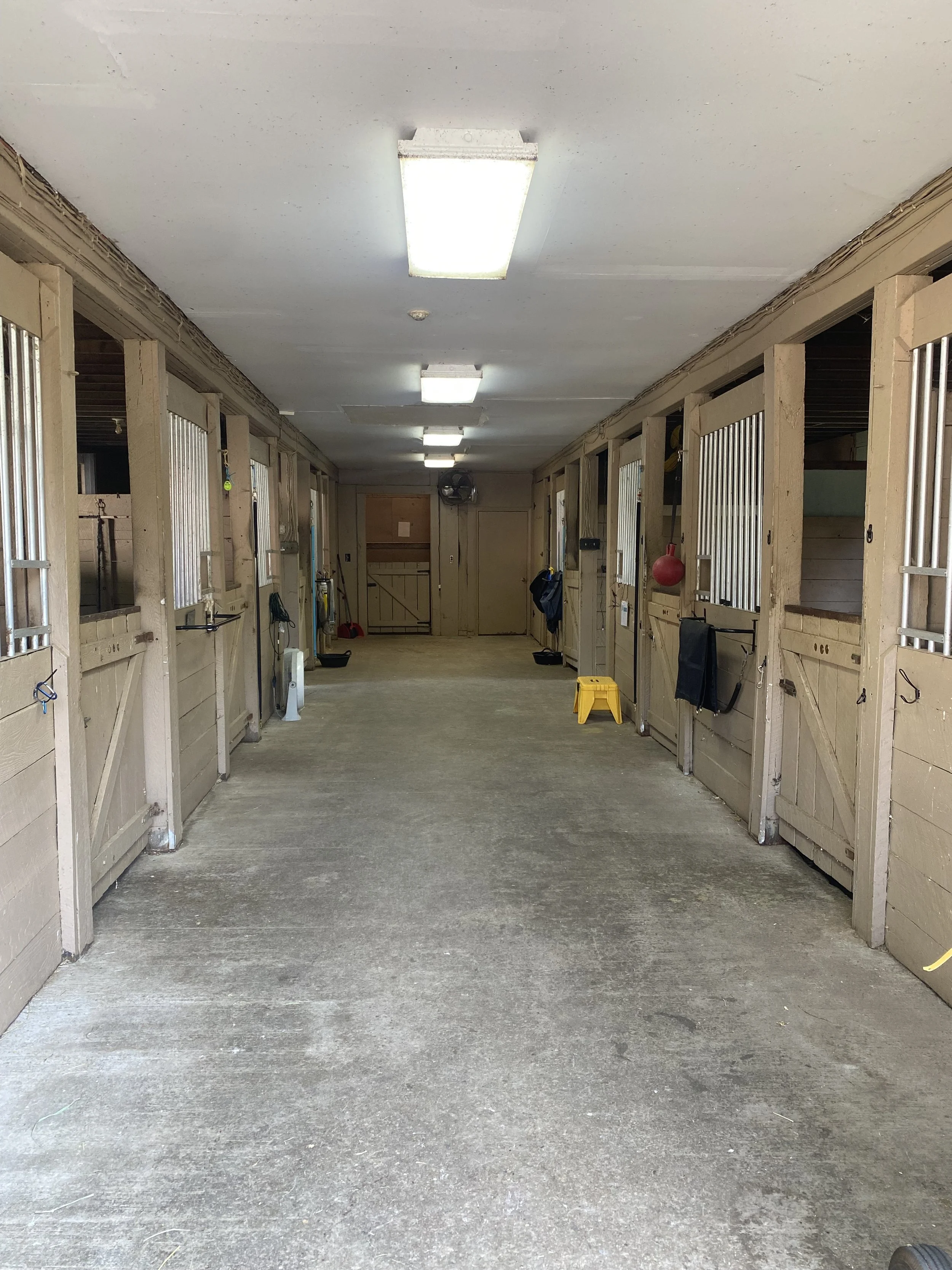 Interior of a clean horse stable corridor (the lower barn) with multiple horse stalls and fluorescent lighting.