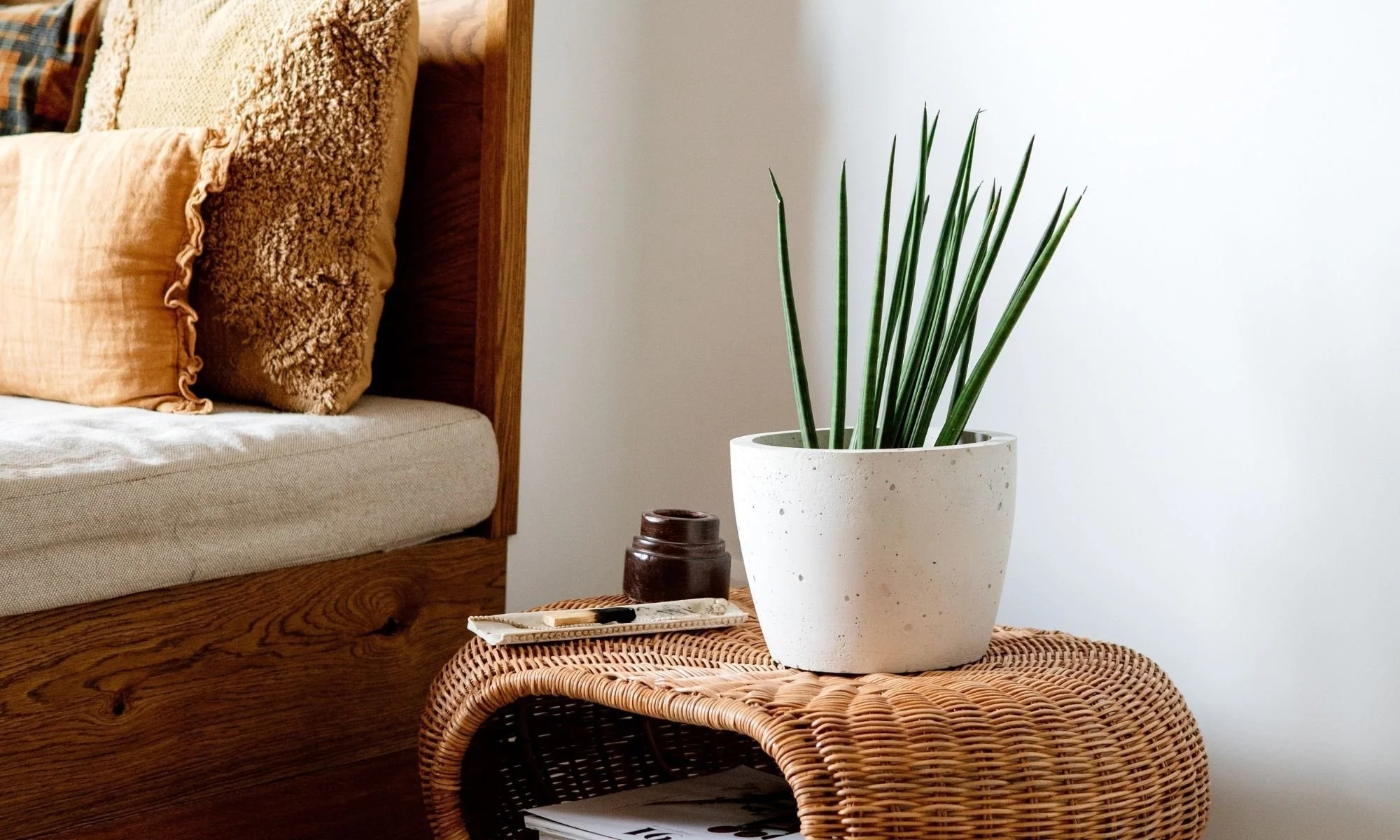 Counselling office Chilliwack BC Canada