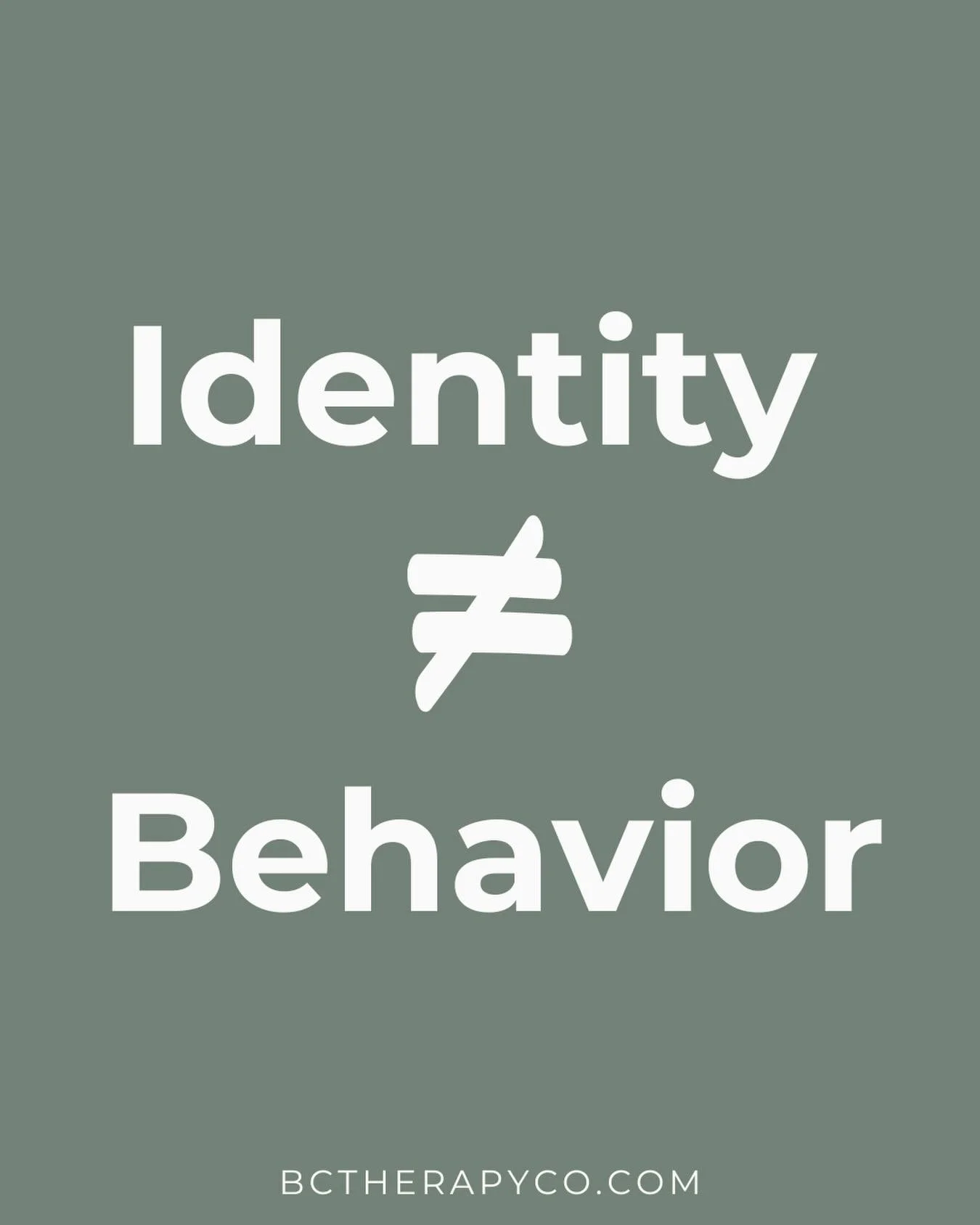 Identity &ne; Behavior 
Your identity is who you are at your core; your sense of self, values, and orientation. Behavior is what you do in the moment, which can be influenced by circumstance, curiosity, or experimentation. They&rsquo;re related, but 