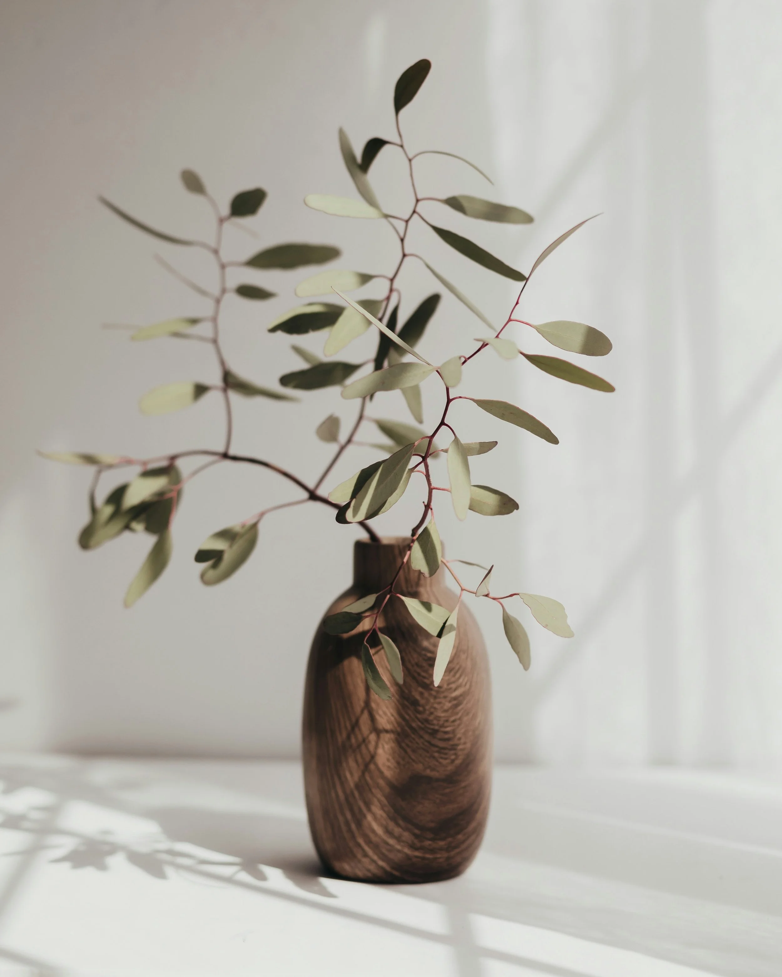 Eucalyptus in vase in a therapy office in BC