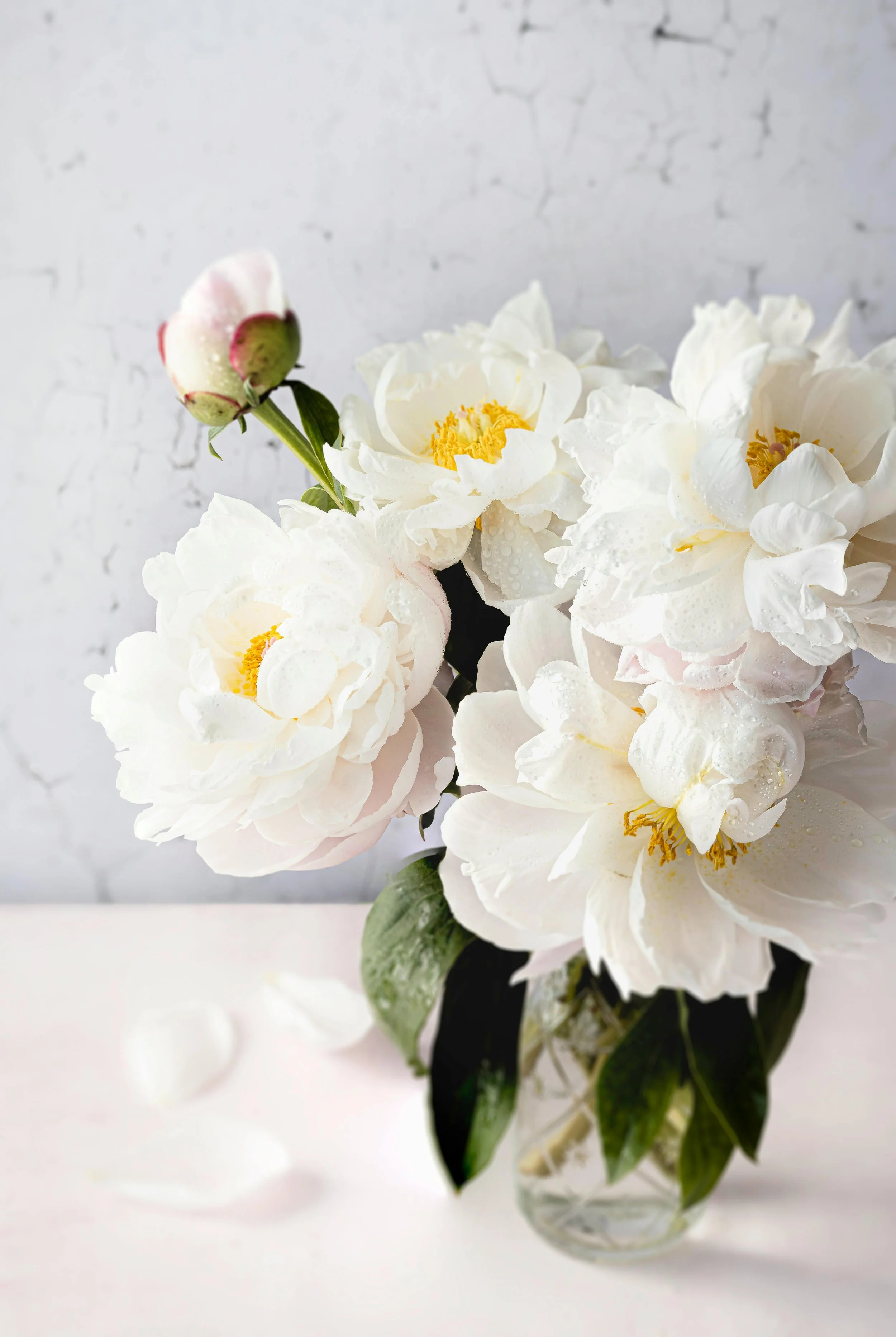 White peony flowers in a glass vase in a virtual therapy session in British Columbia.