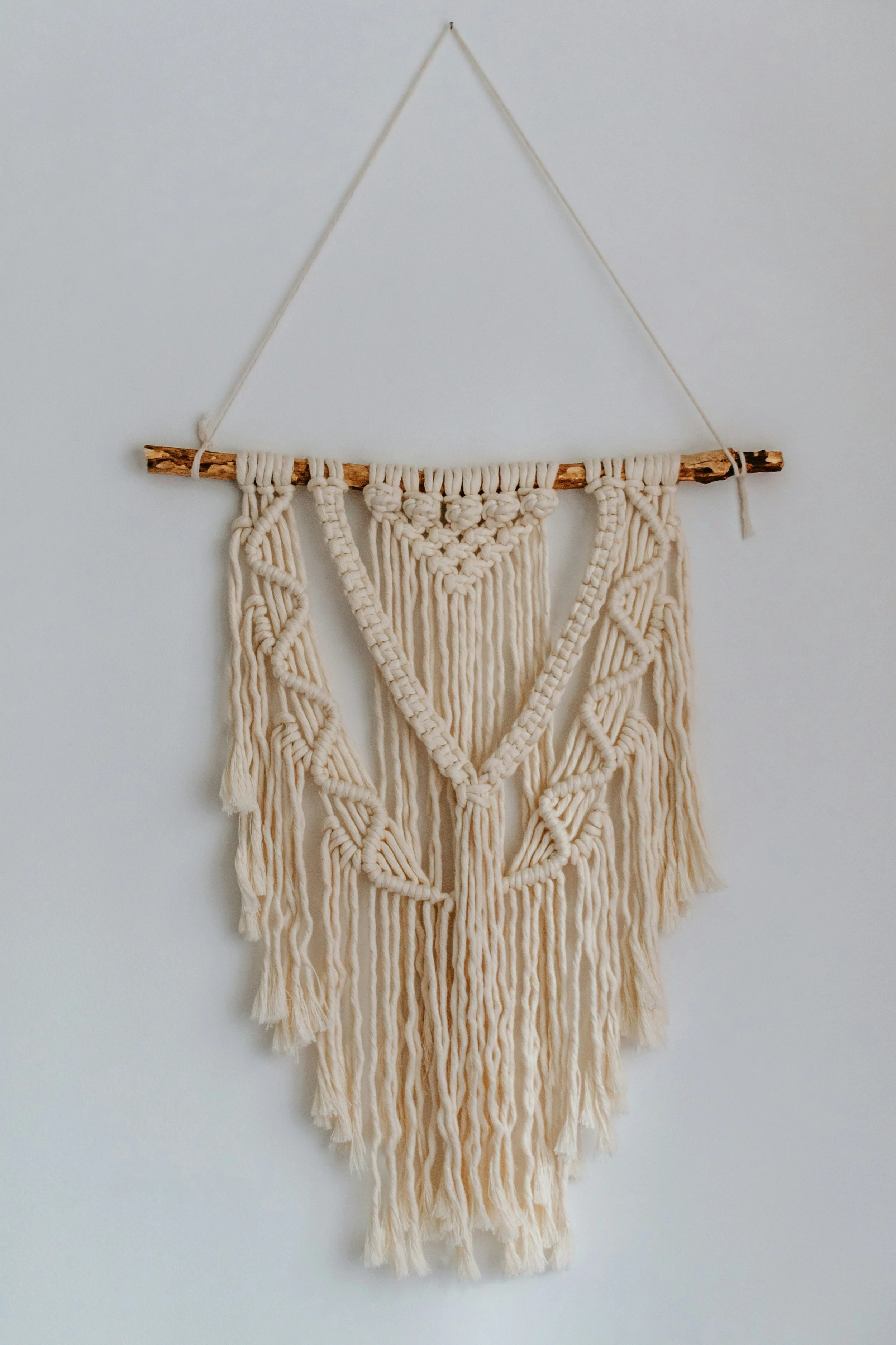 Boho Decor in an virtual supervision session across BC