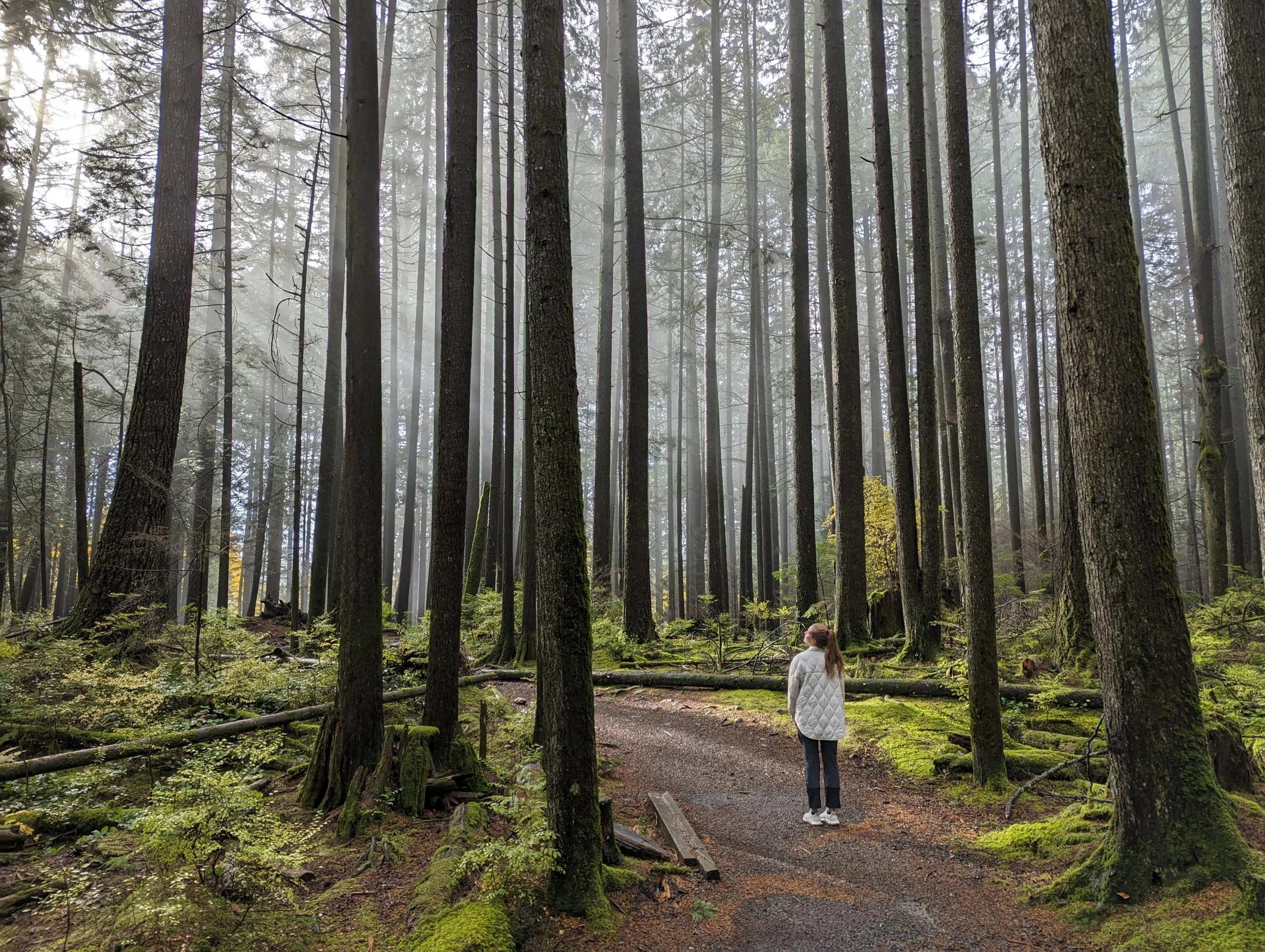 Therapist Em walks in a forest of tall trees Vancouver BC