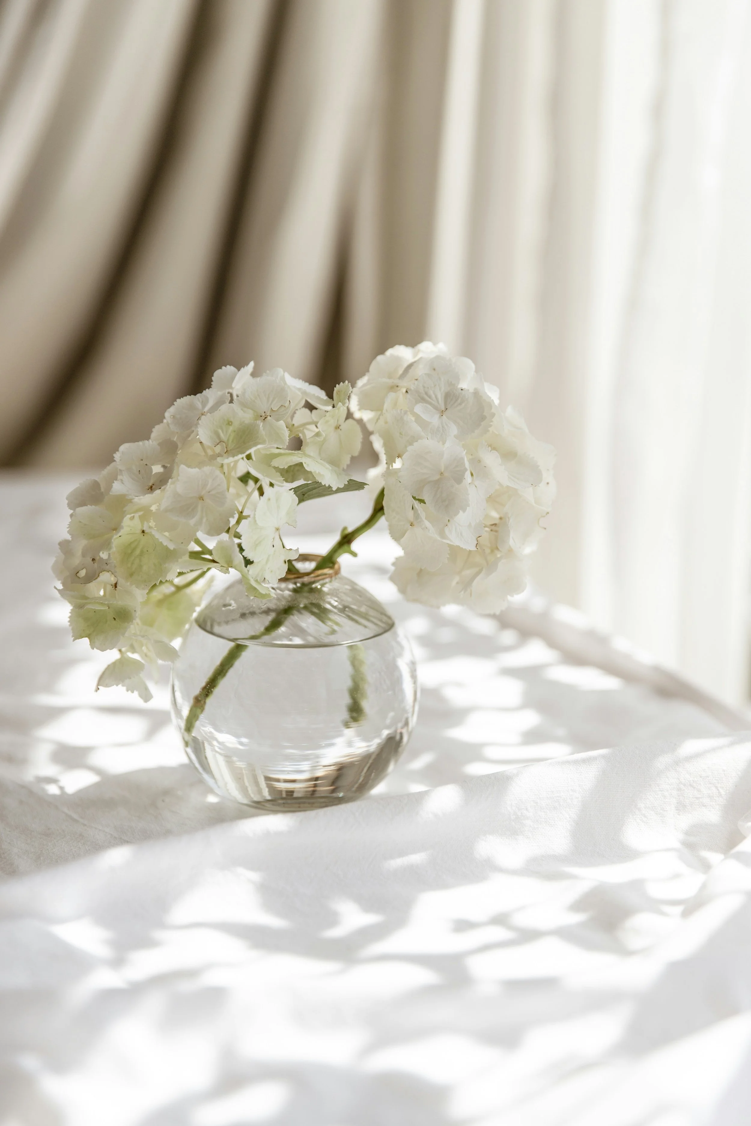 Hydrangea's in a glass vase with light patterns in the shade