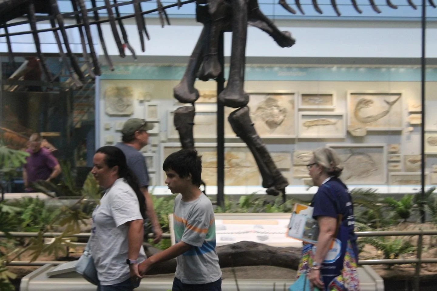 Walking with the dinosaurs gives new meaning to &ldquo;step count&rdquo; on a #AAC #camp field trip to Carnegie Natural History Museum for ICAN