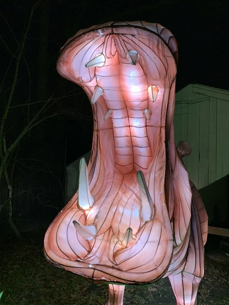 Illuminated outdoor sculpture resembling the open mouth of a hippo, showcasing teeth and interior details at night.