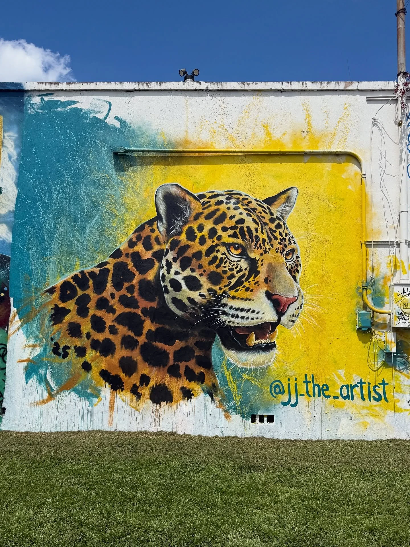 Happy 904 Day! Today we celebrate the creativity, resilience, and community that make Jacksonville shine. From local artists transforming walls into stories to neighbors building a more connected city, we&rsquo;re entering a regenissance in Duval. 

