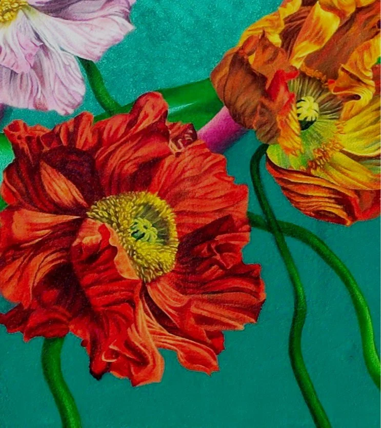 Close-up of three vibrant poppy flowers with red, yellow, and pink petals against a teal background.