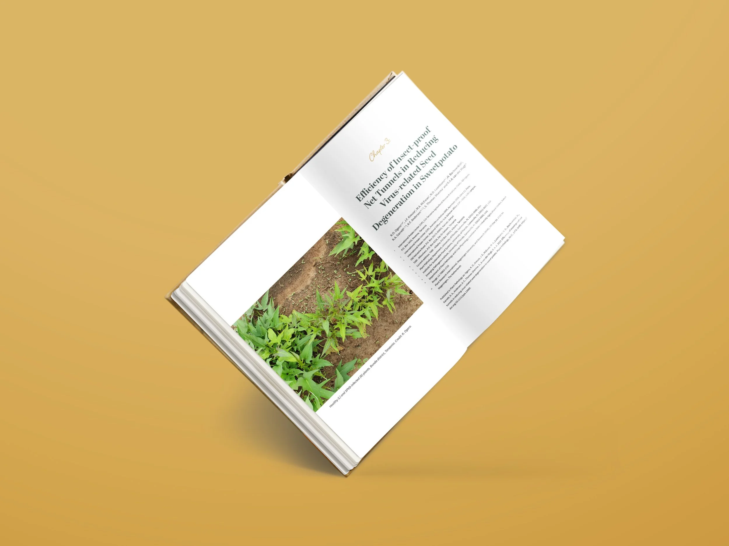 Proefschrift BW Mock-up Kwame Ogero.jpeg