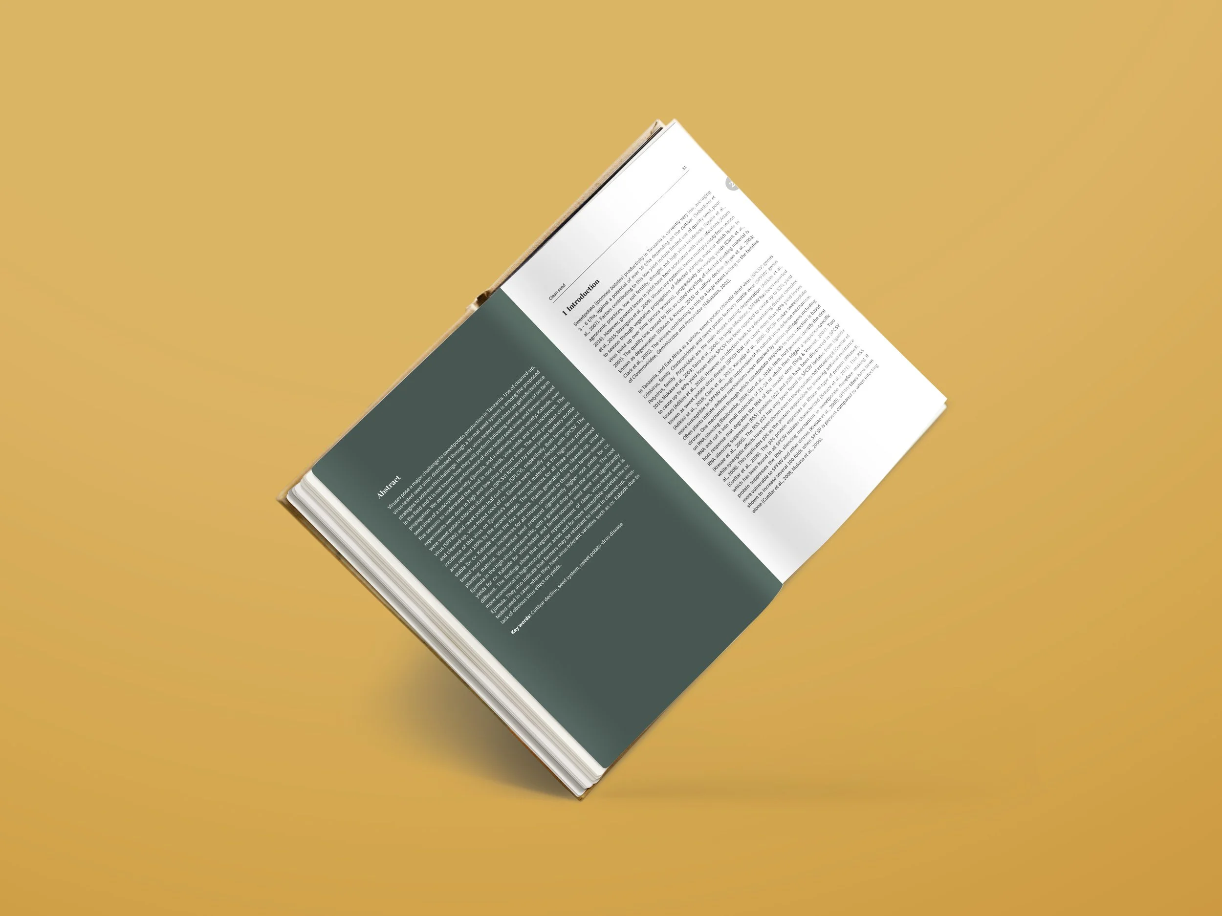 Proefschrift BW Mock-up 2 Kwame Ogero.jpeg