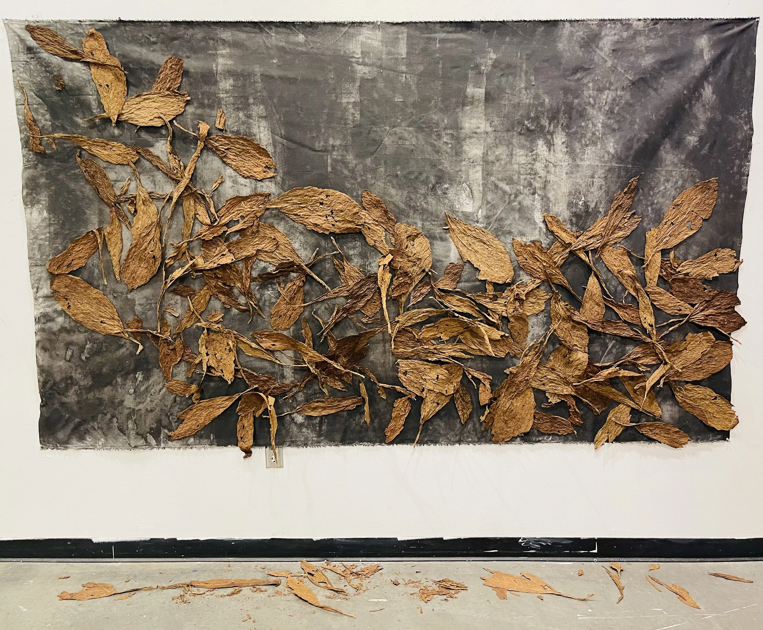 The Rise and Fall of Southeast Swamps / 
ink and tobacco leaves on canvas / 
62 1/2" x 110"