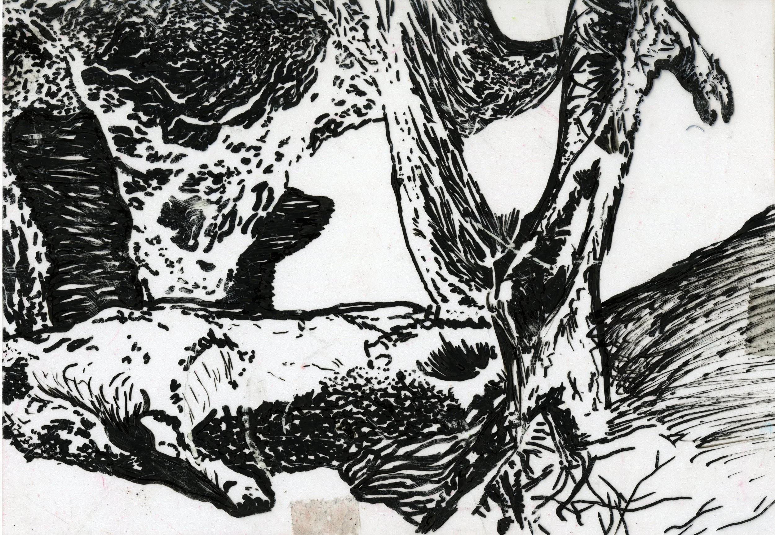 Webs / 
ink on transparency sheet / 
6" x 8 1/2"