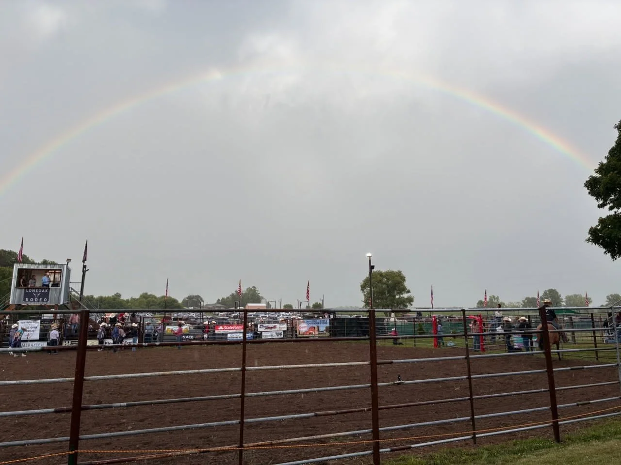 Rodeo 10.jpg
