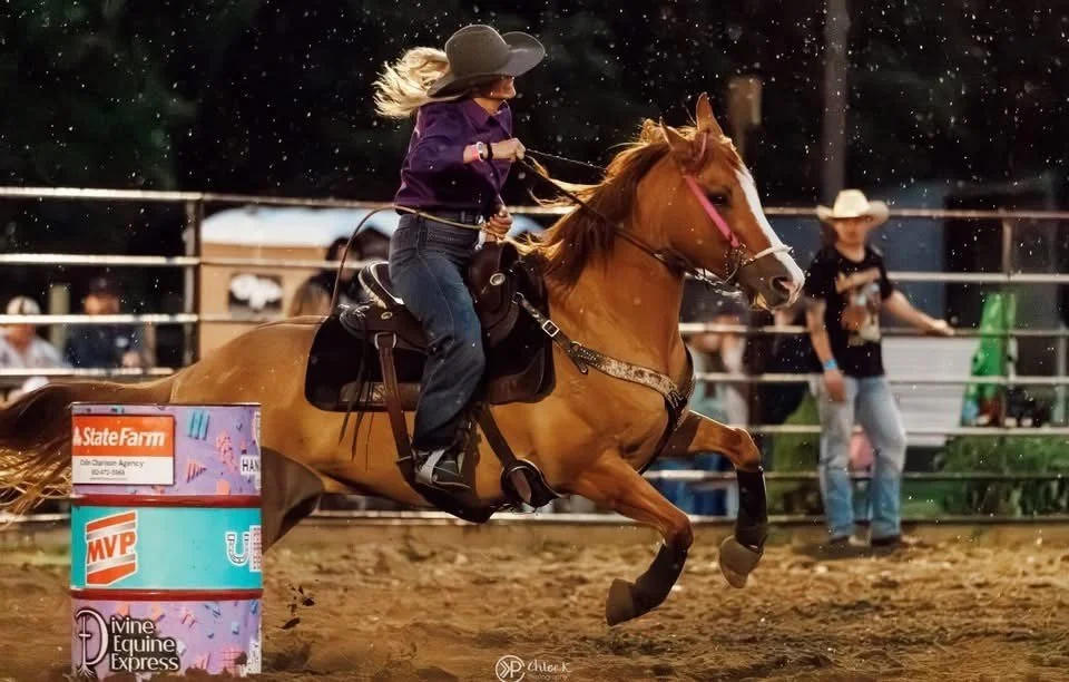 Rodeo 14.jpg