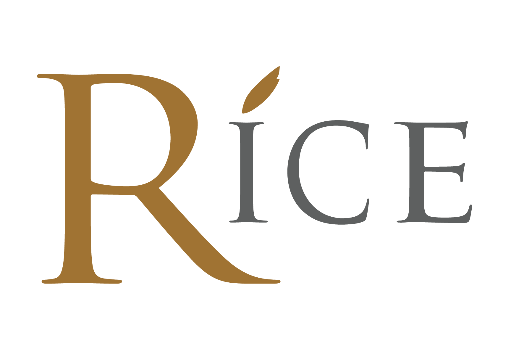 Rice.png