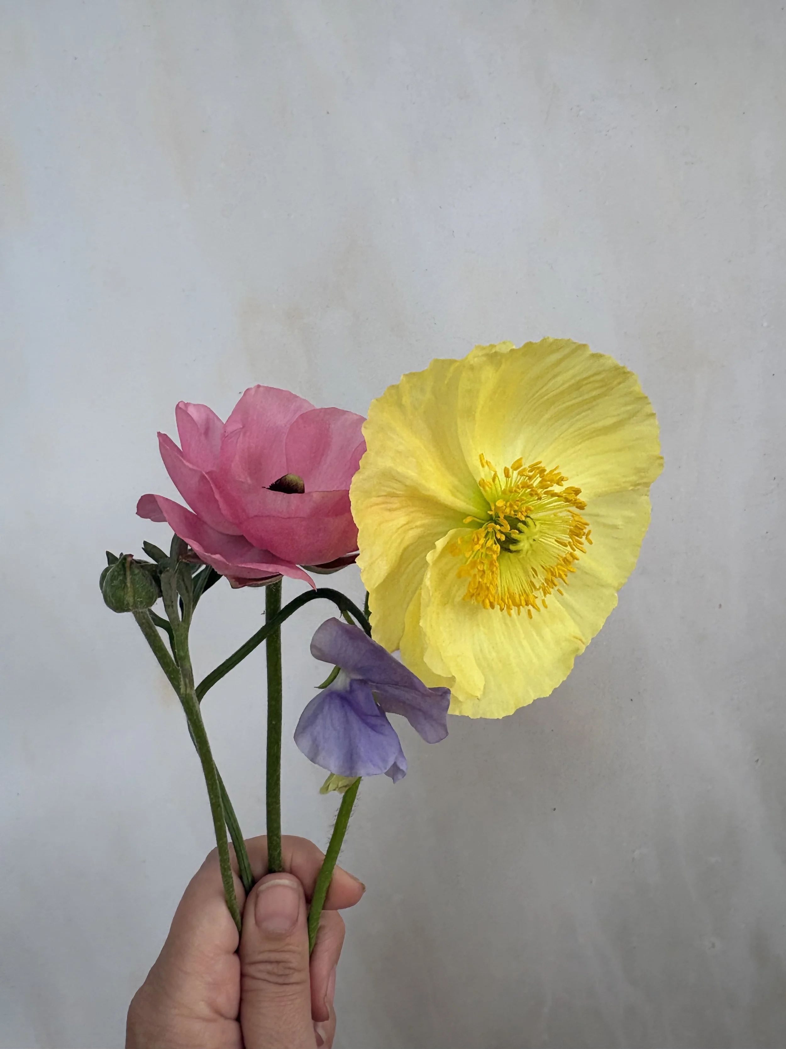 IMG_9542.jpeg