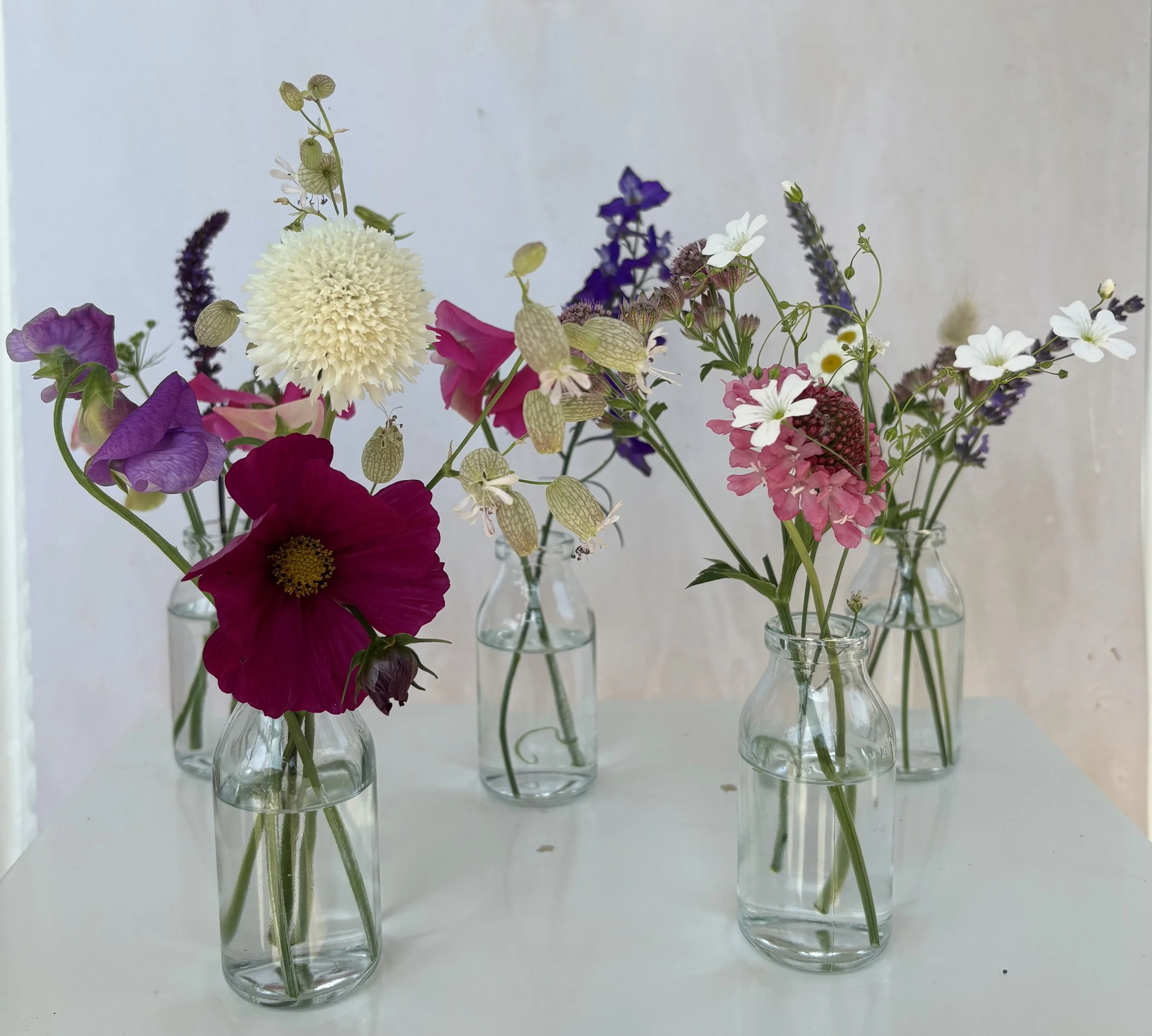 Collection of bud vases