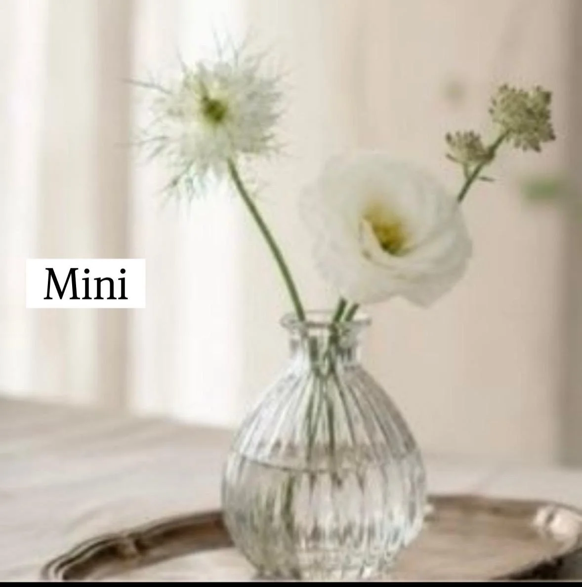 Mini bud vase image.jpeg