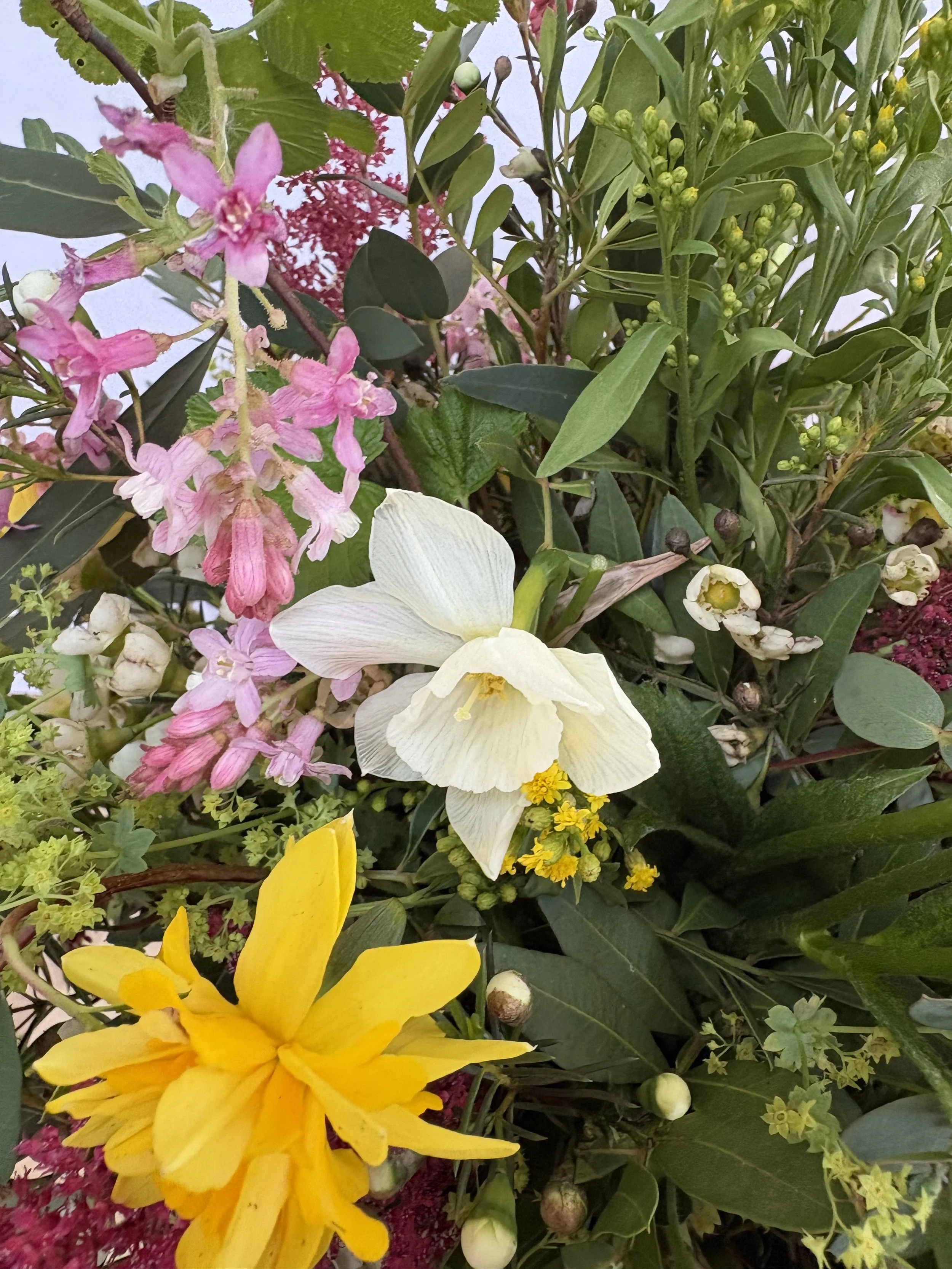 IMG_8740.jpeg