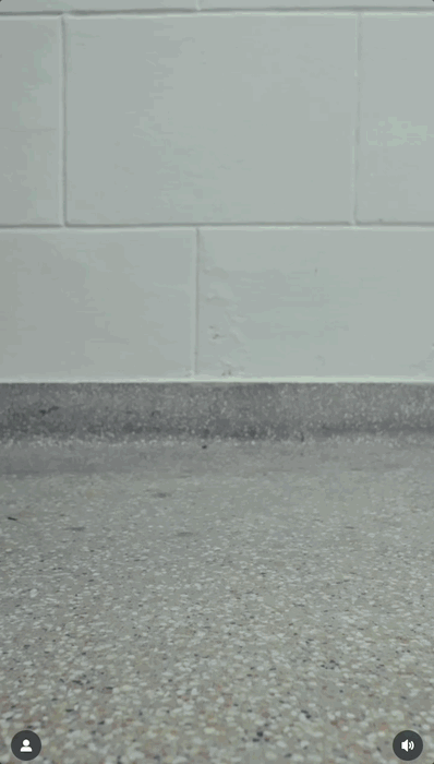 Birk2.gif