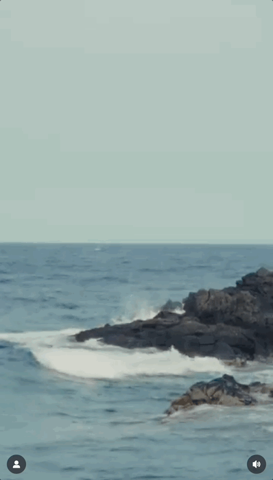 Birk7.gif