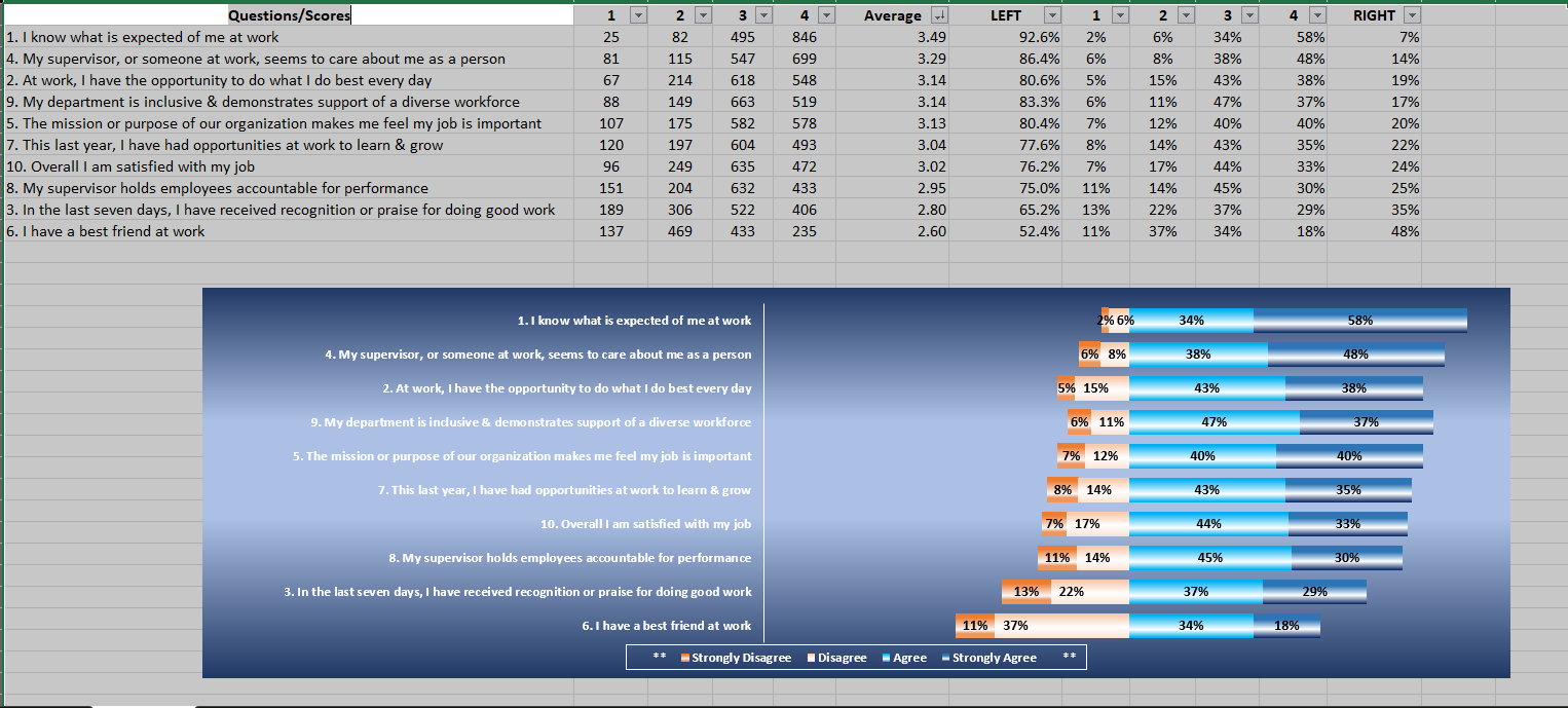 Employee Sentiment Survey