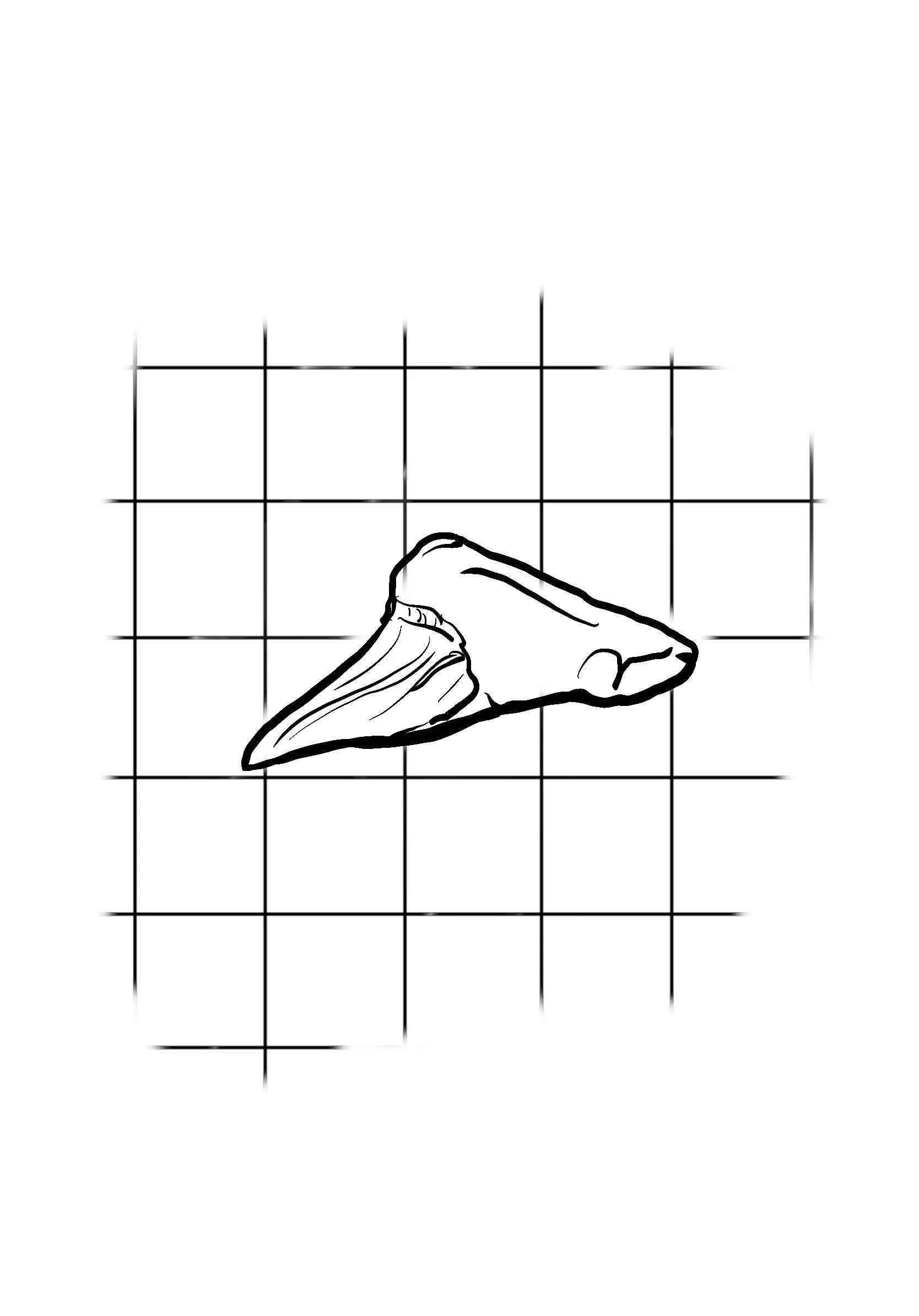 Teeth2.jpg