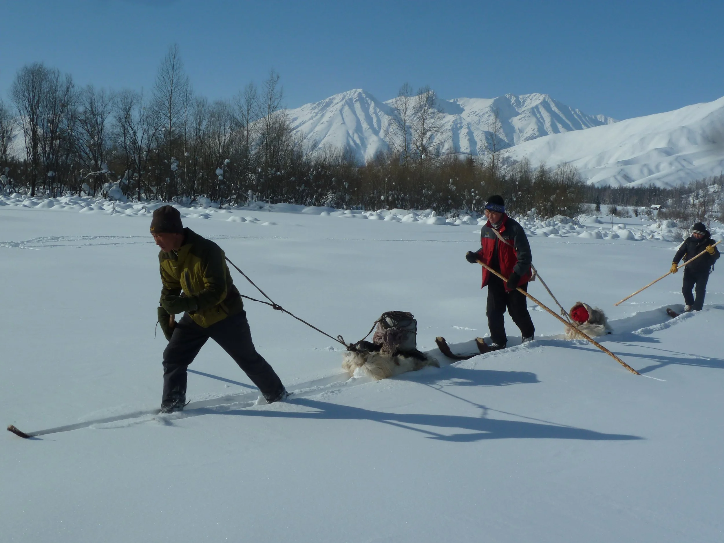 Four people in winter clothing pulling a sled with a dog on a snow-covered landscape, with snow-capped mountains and bare trees in the background.