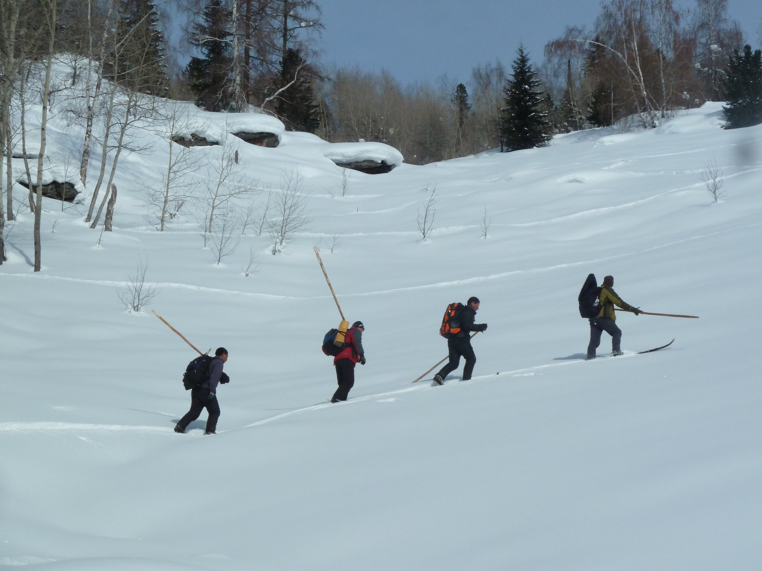 Four hikers with backpacks and walking poles walking through snow on a mountainous landscape.