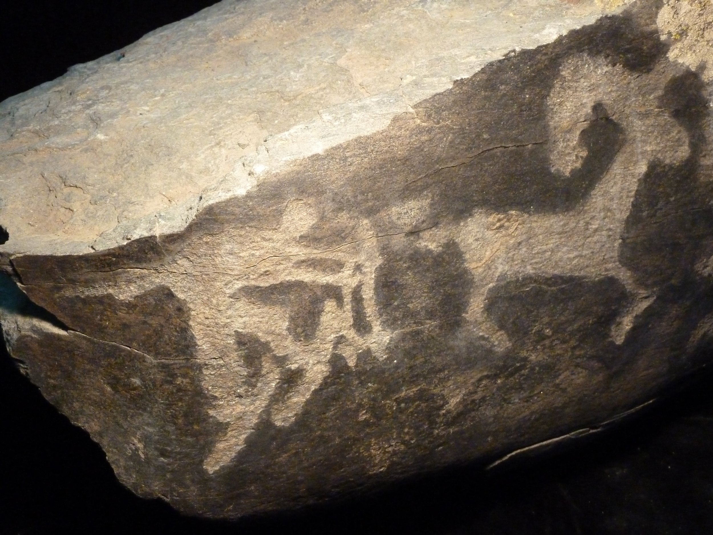 Ancient cave painting of a bison, painted with dark pigment on a large rock surface.