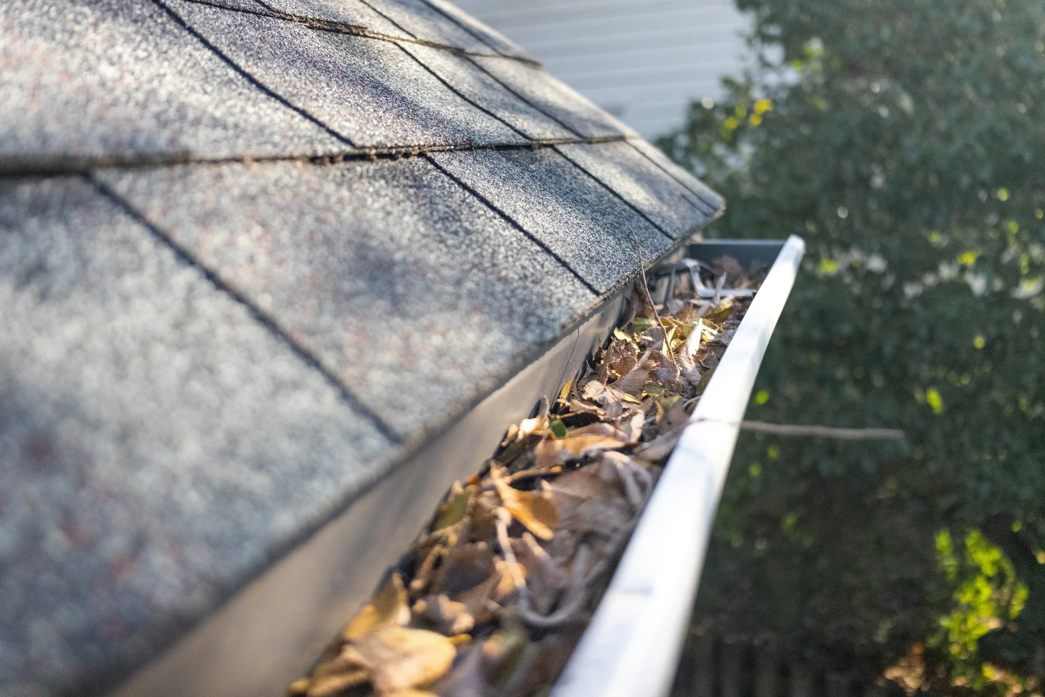 Rain gutter filled with leaves and debris