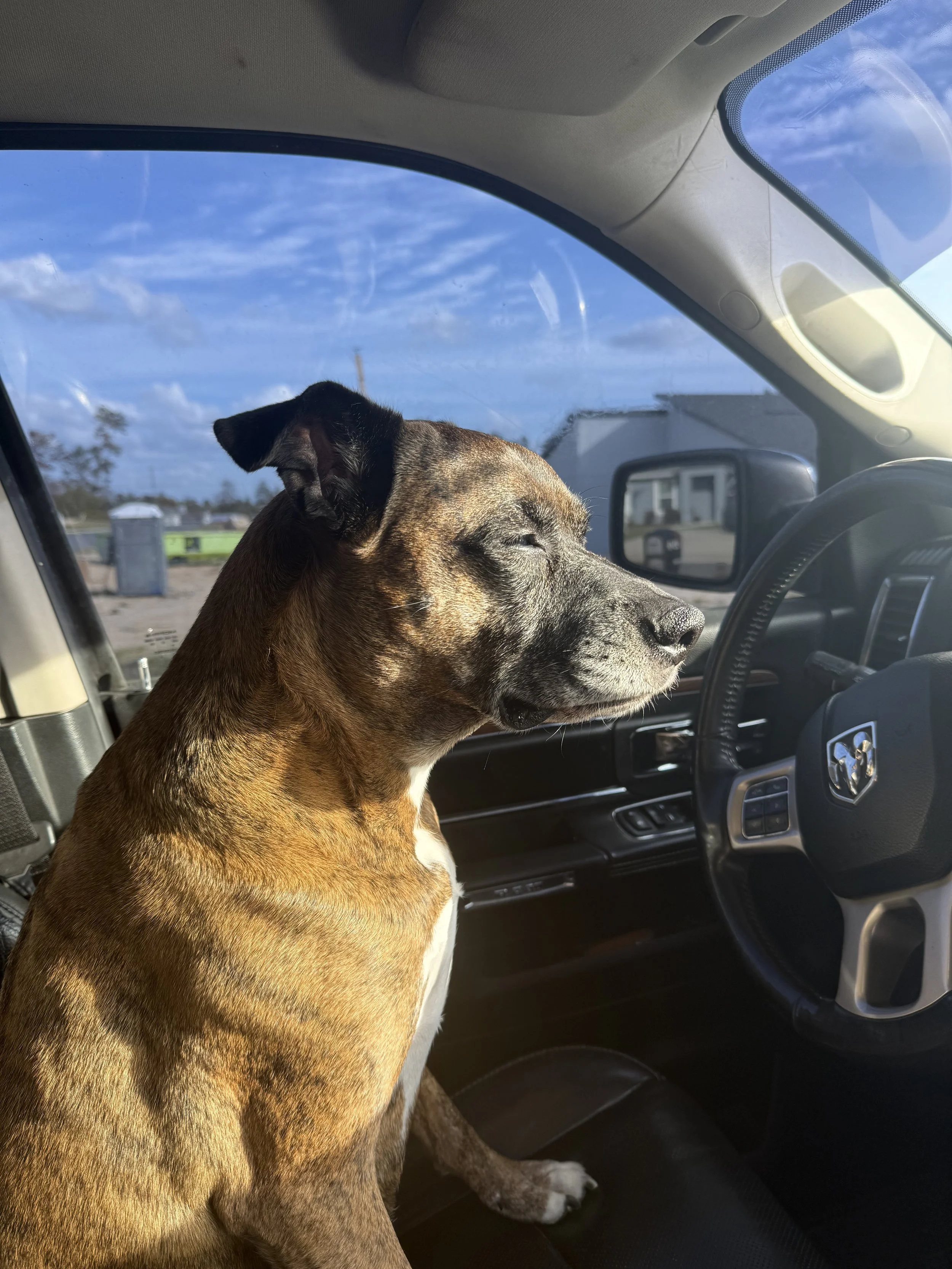 Woodrow riding in the McNeal’s Seamless Gutters truck.