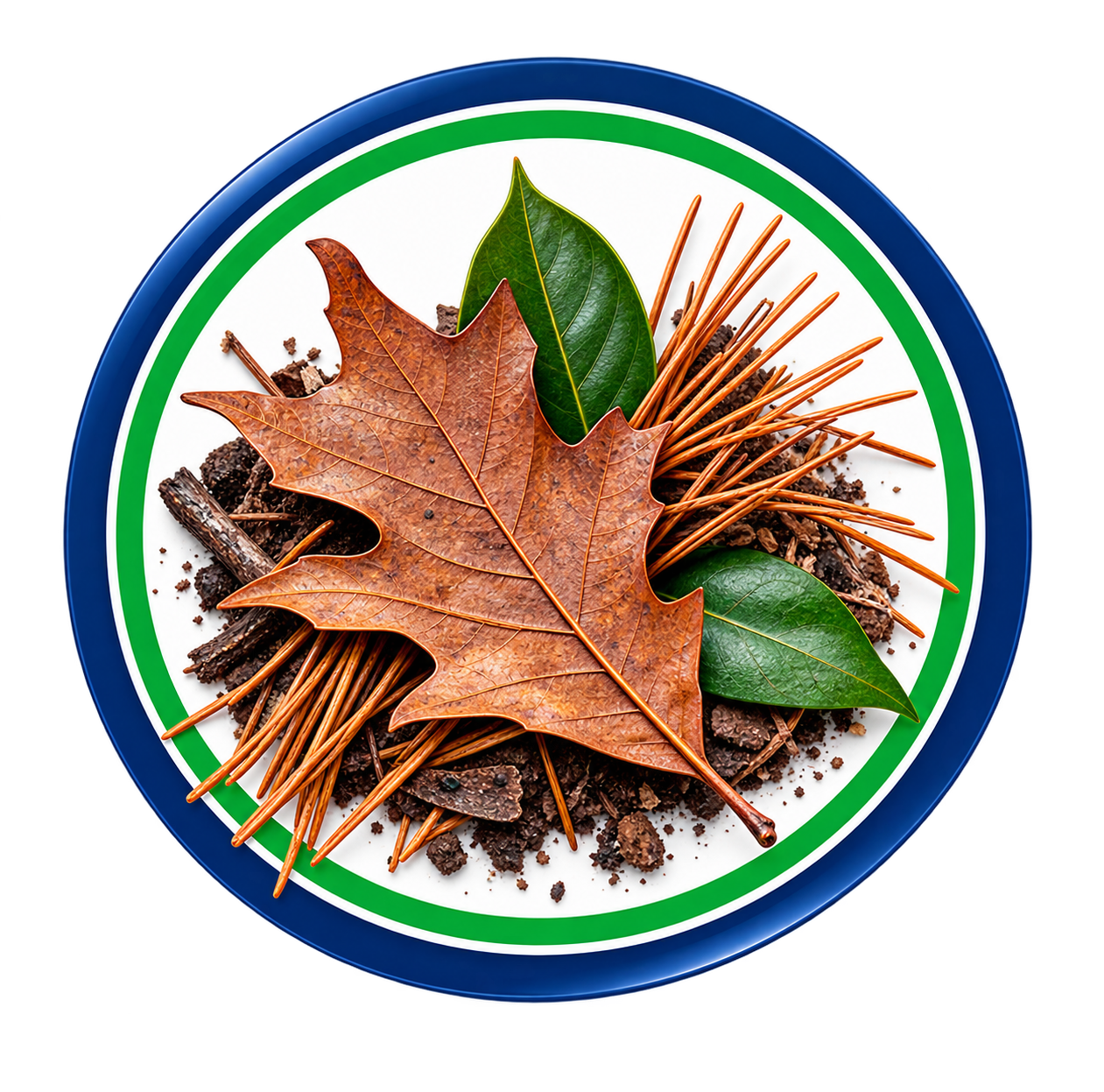 Autumn leaves, pine needles, and soil on a white plate with green and blue borders.