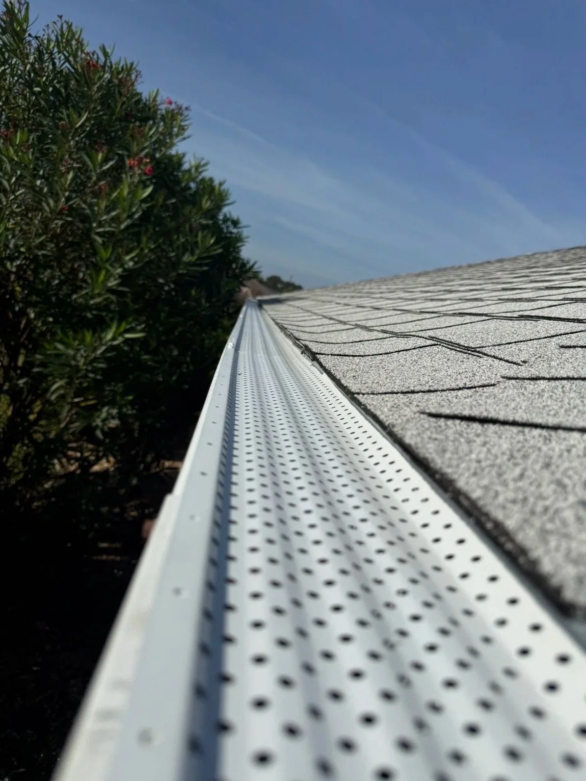 Gutter guard installed over a seamless rain gutter