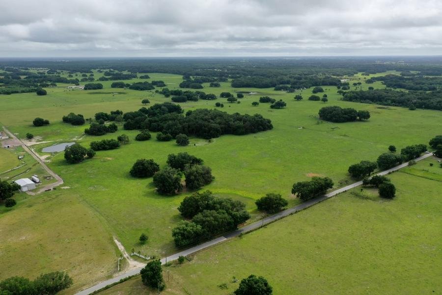 Rural landscape in Sumter County, Florida