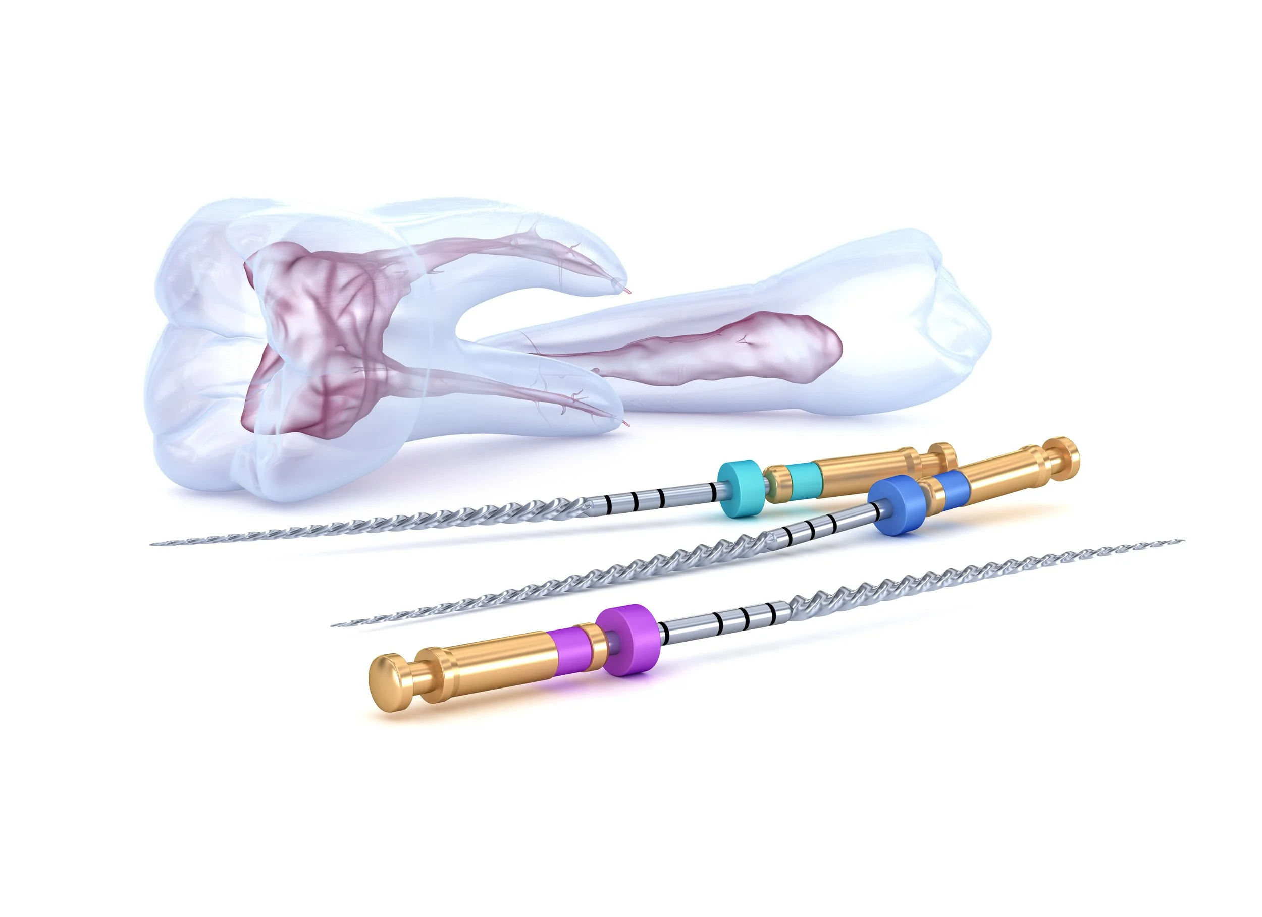 ENDODONTIC HANDS-ON COURSE