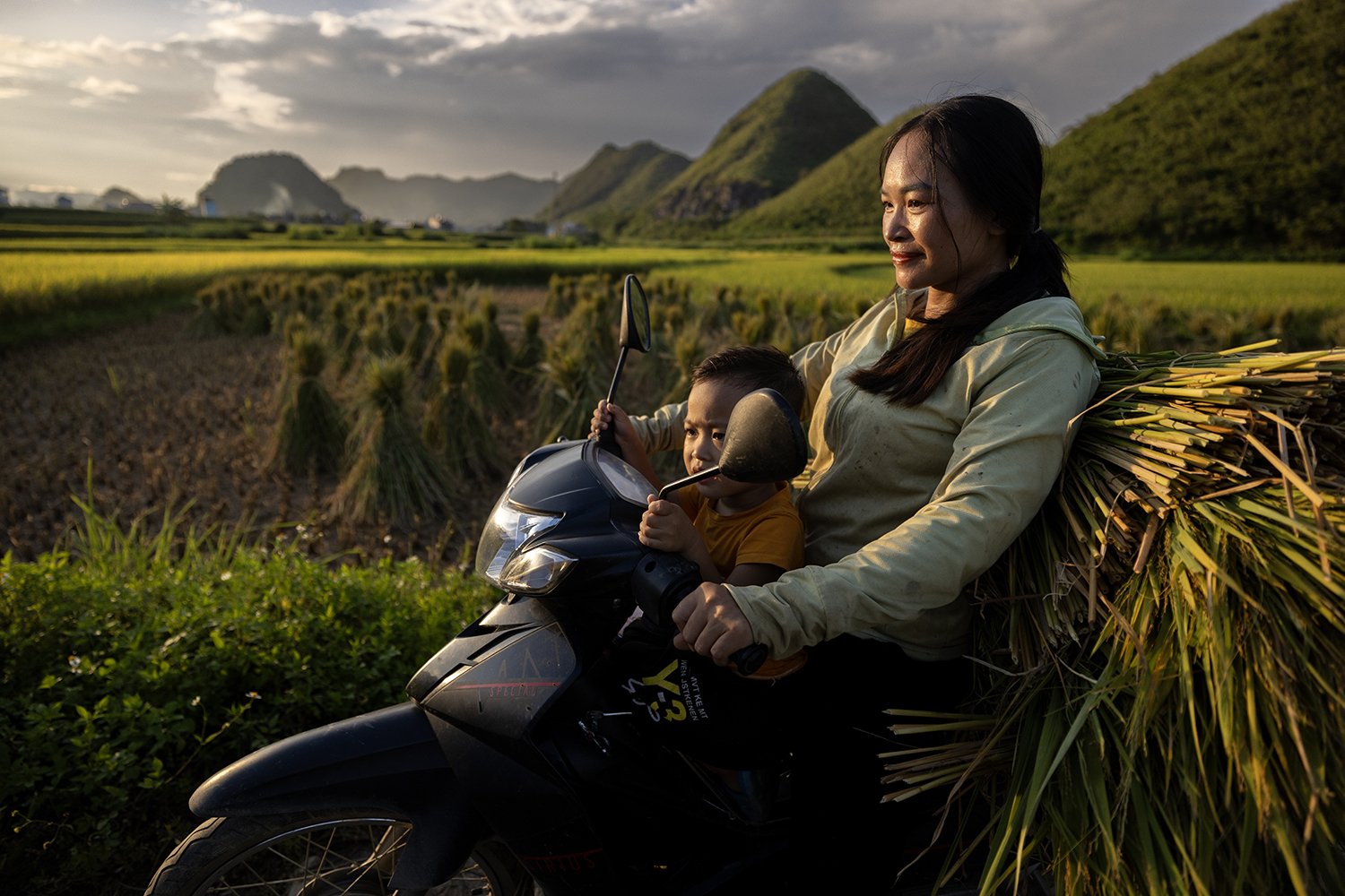 A woman and child on a motorbike in a rice field at sunset in Vietnam.
