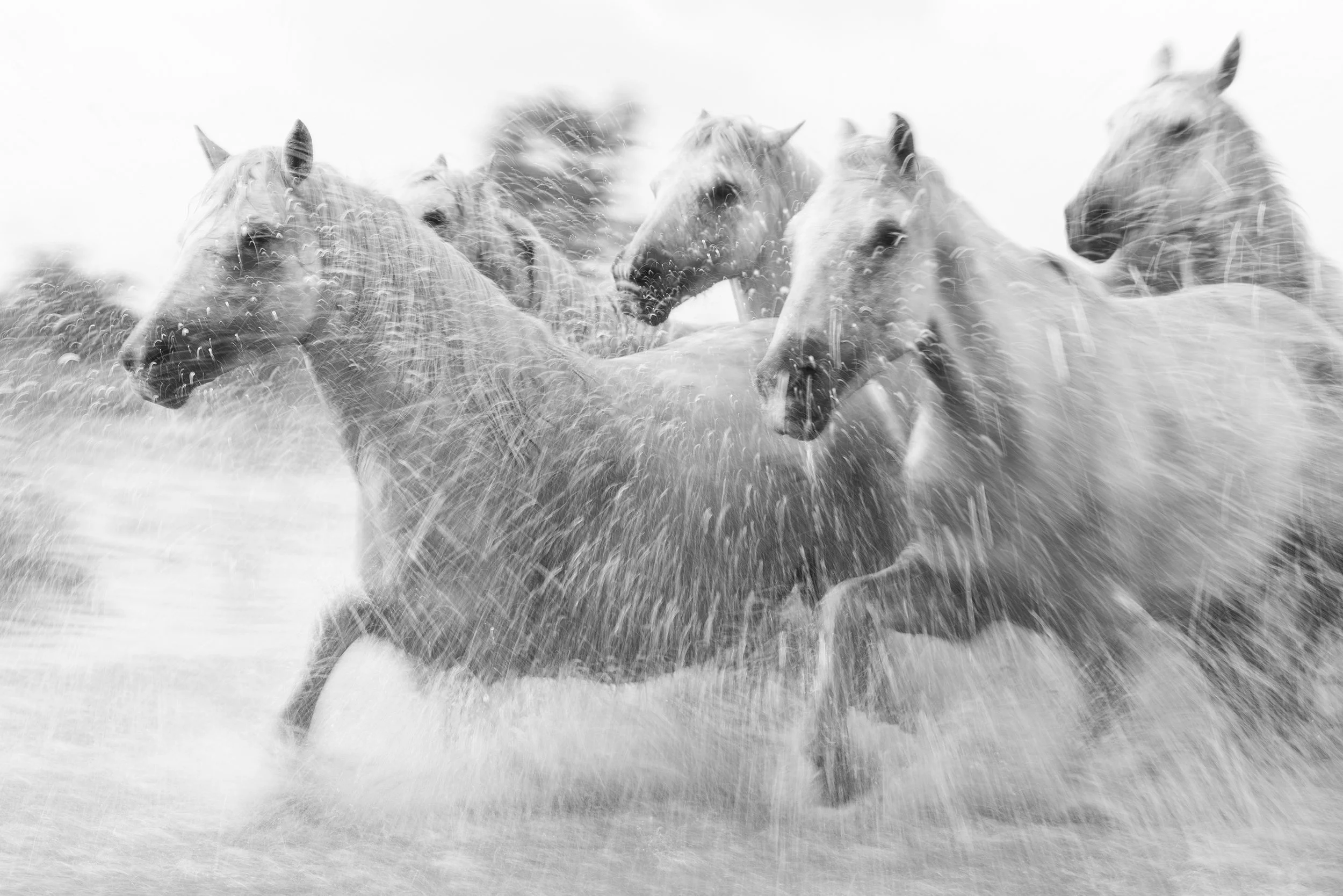Shoot More, Think Less: Better Travel Photography Without Overthinking Settings