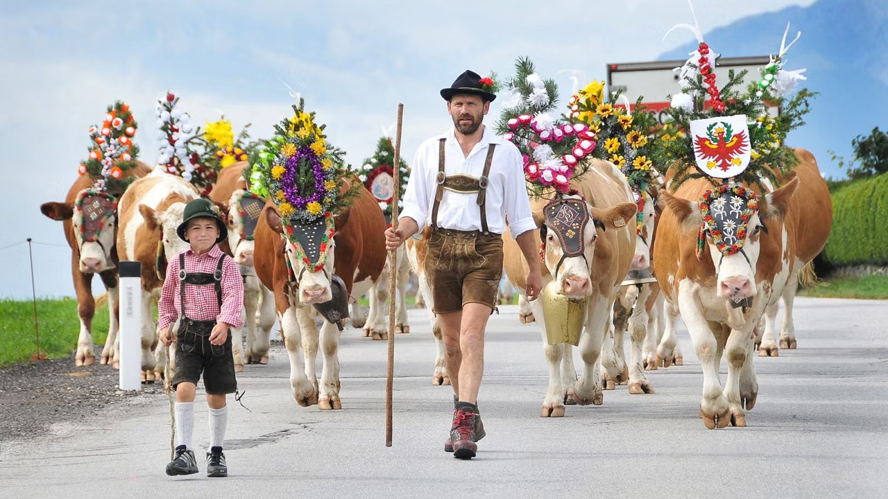 Traditional cattle parade in the Tryrol region of Austria